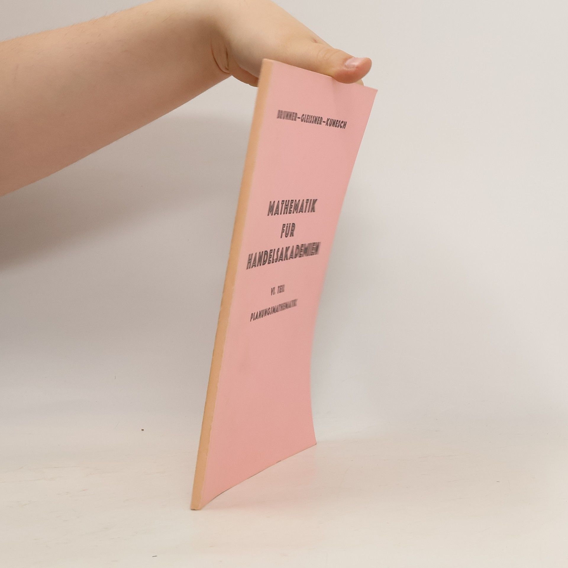 Collectif d'auteurs Mathematik für Handelsakademien. 6. Planungsmathematik