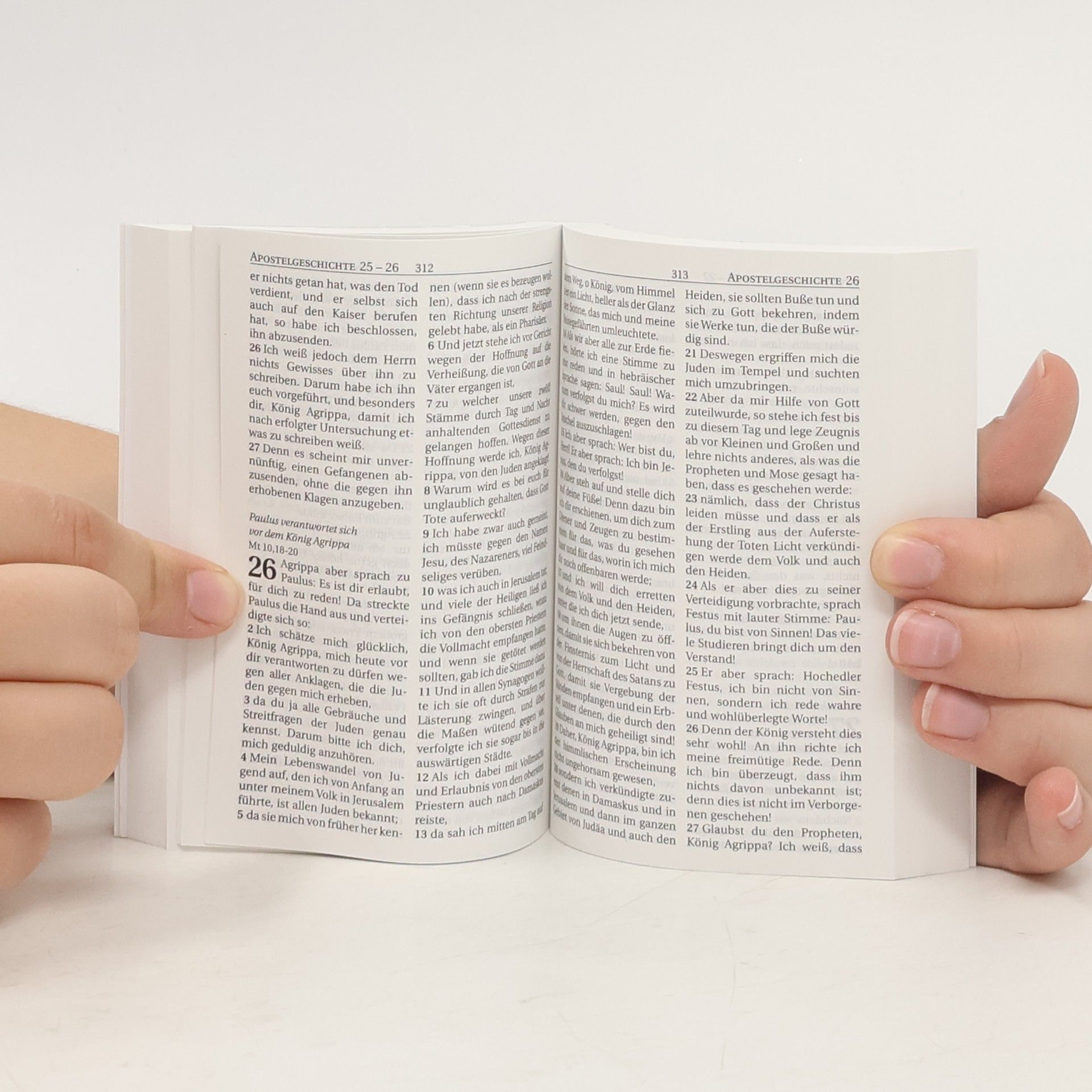 Autorenkollektiv Das neue Testament