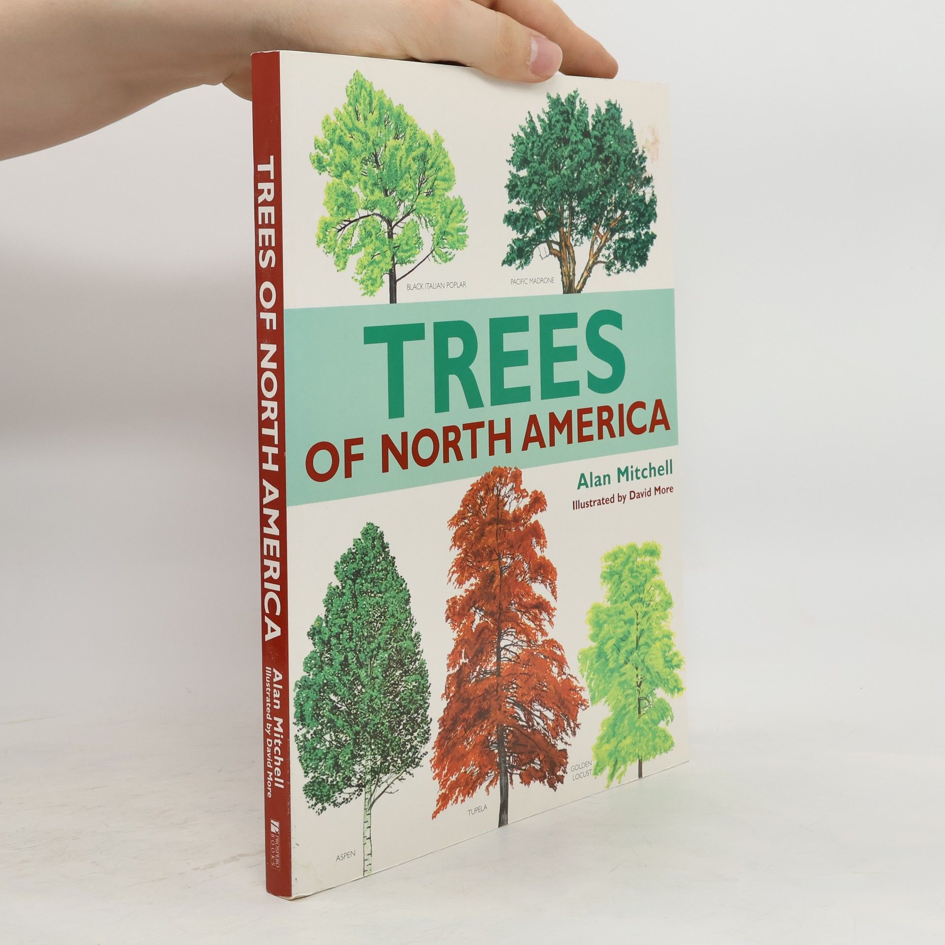 Alan F. Mitchell The Trees of North America