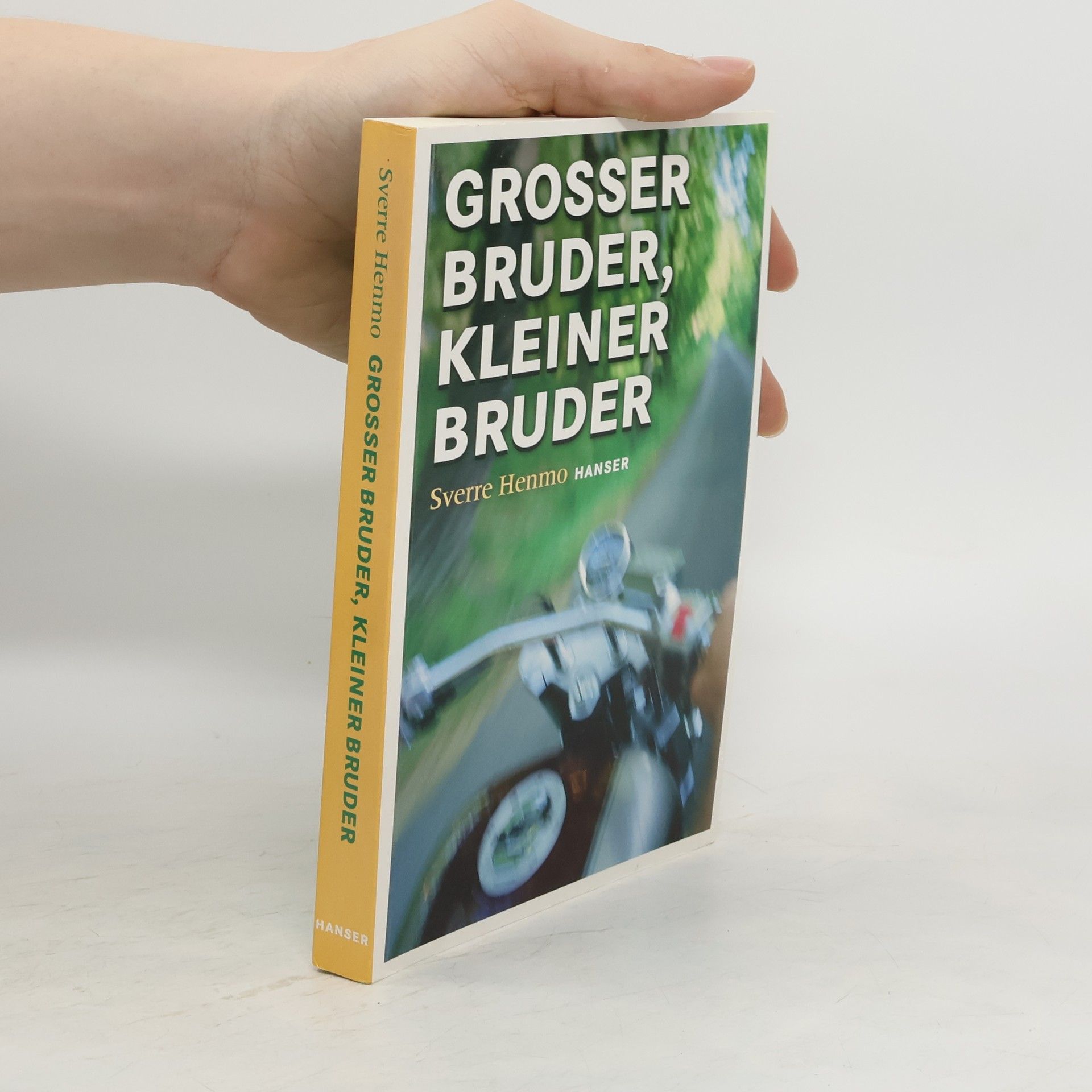 Sverre Henmo Großer Bruder, kleiner Bruder