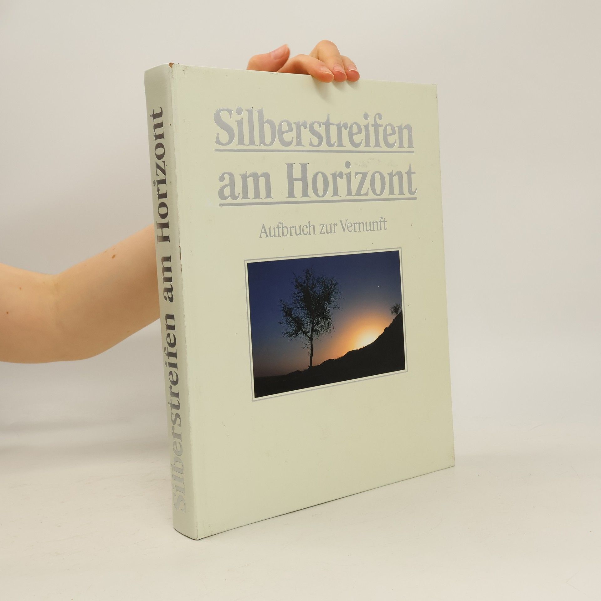 Collectif d'auteurs Silberstreifen am Horizont. Aufbruch zur Vernunft