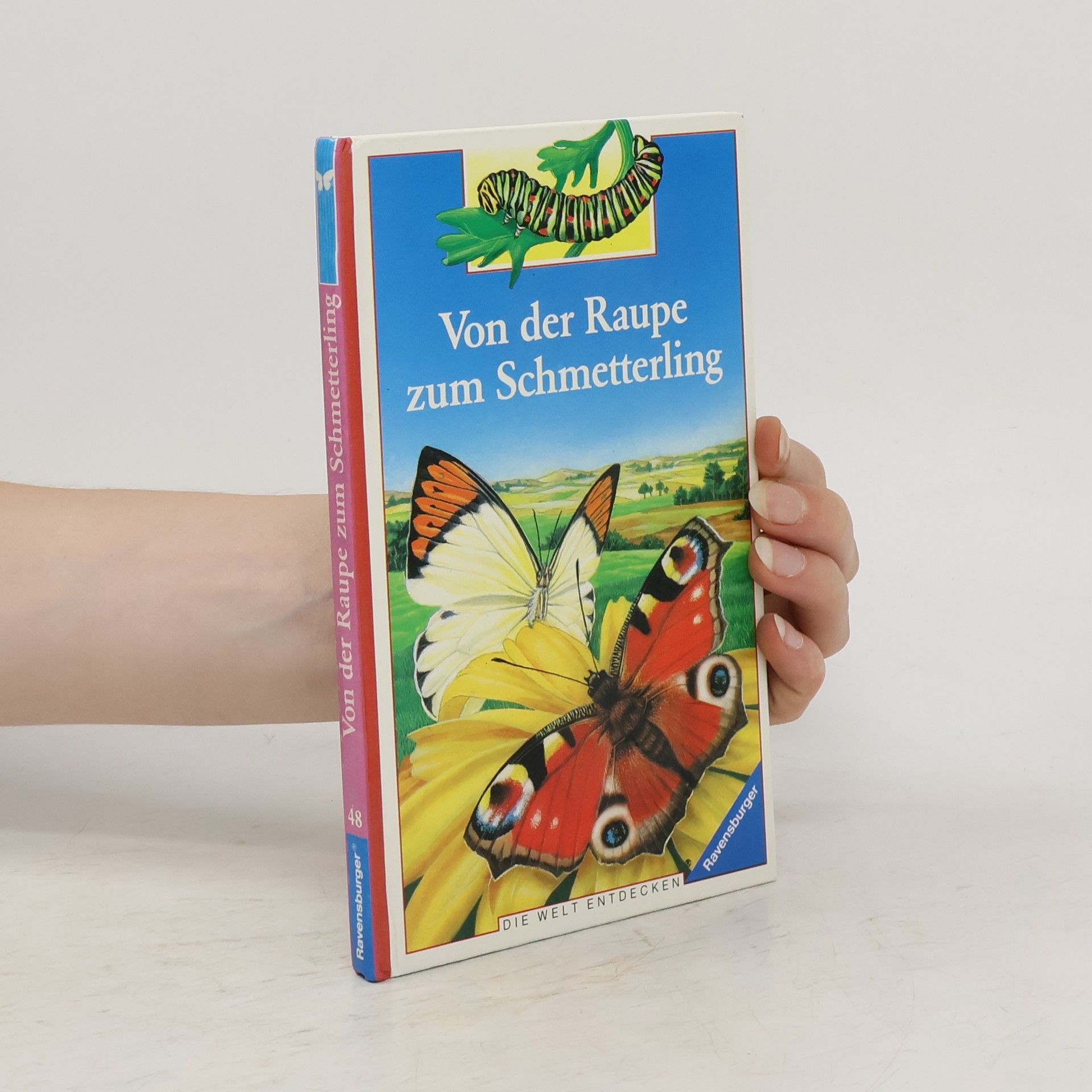 kolektiv Von der Raupe zum Schmetterling
