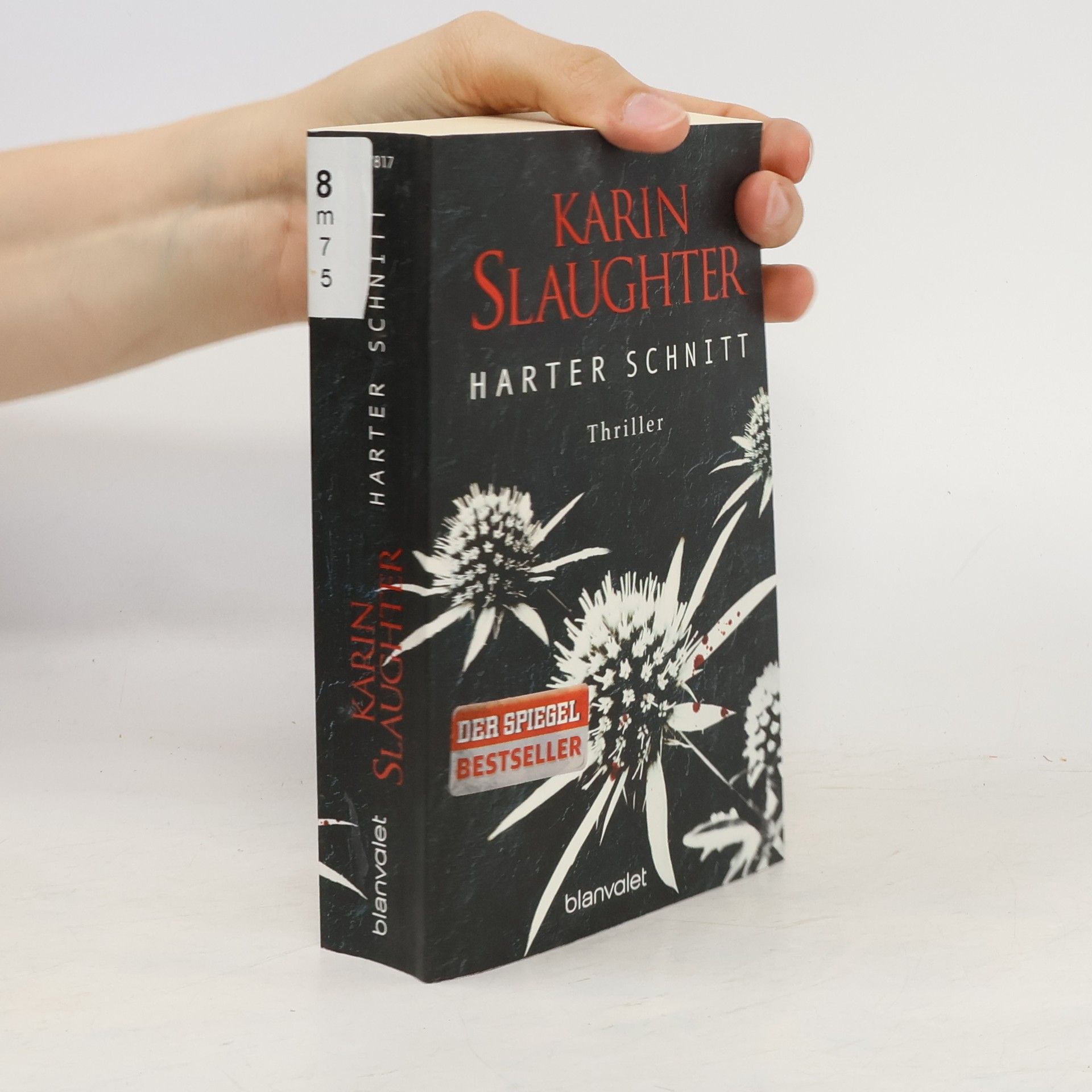 Karin Slaughter Harter Schnitt