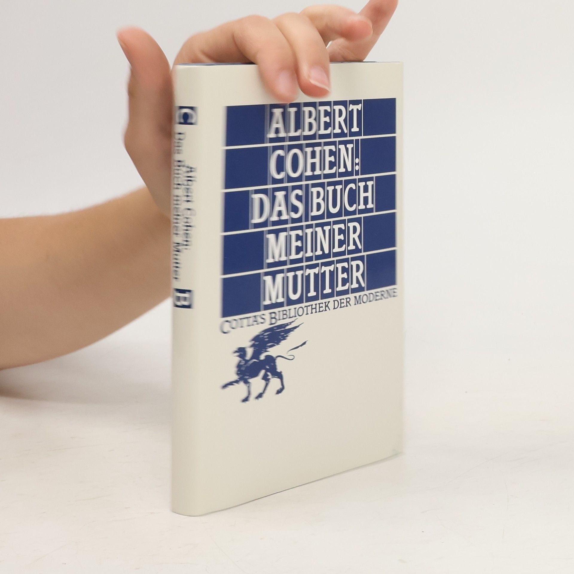 Albert Cohen Das Buch meiner Mutter