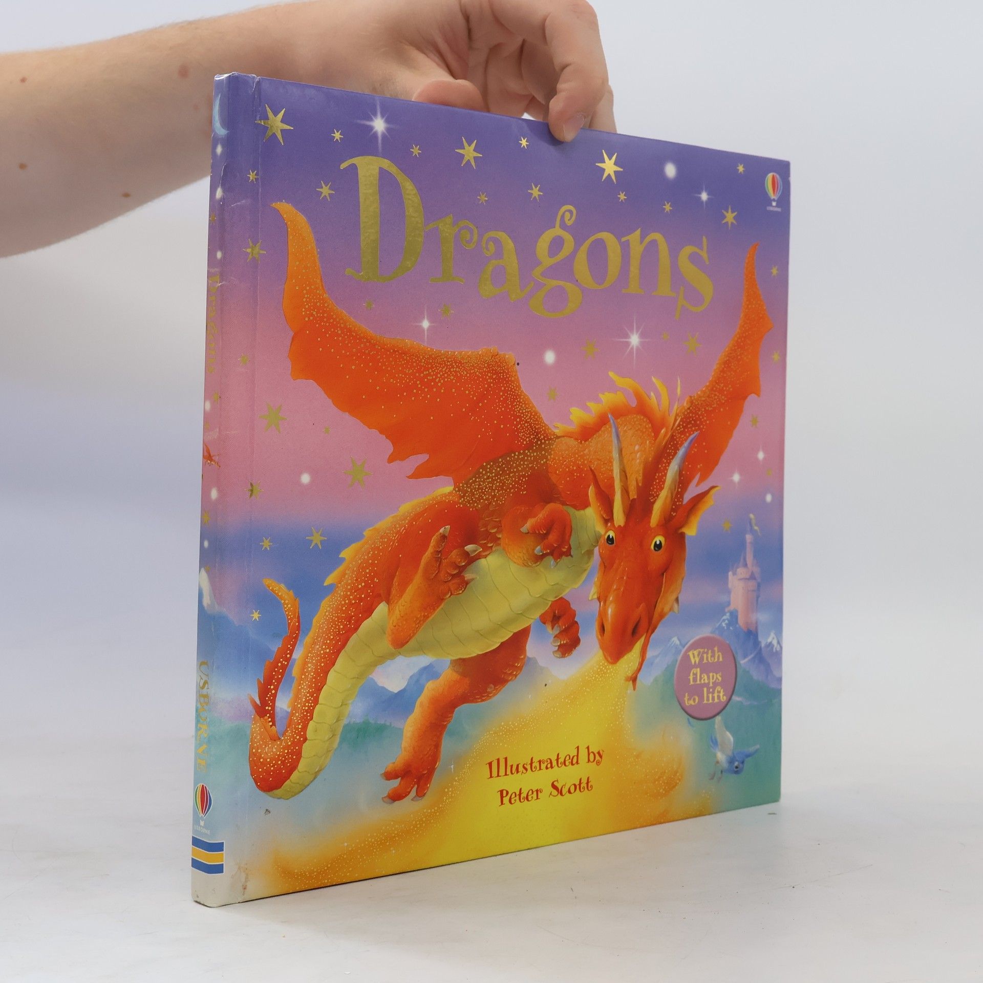 Judy Tatchell Dragons