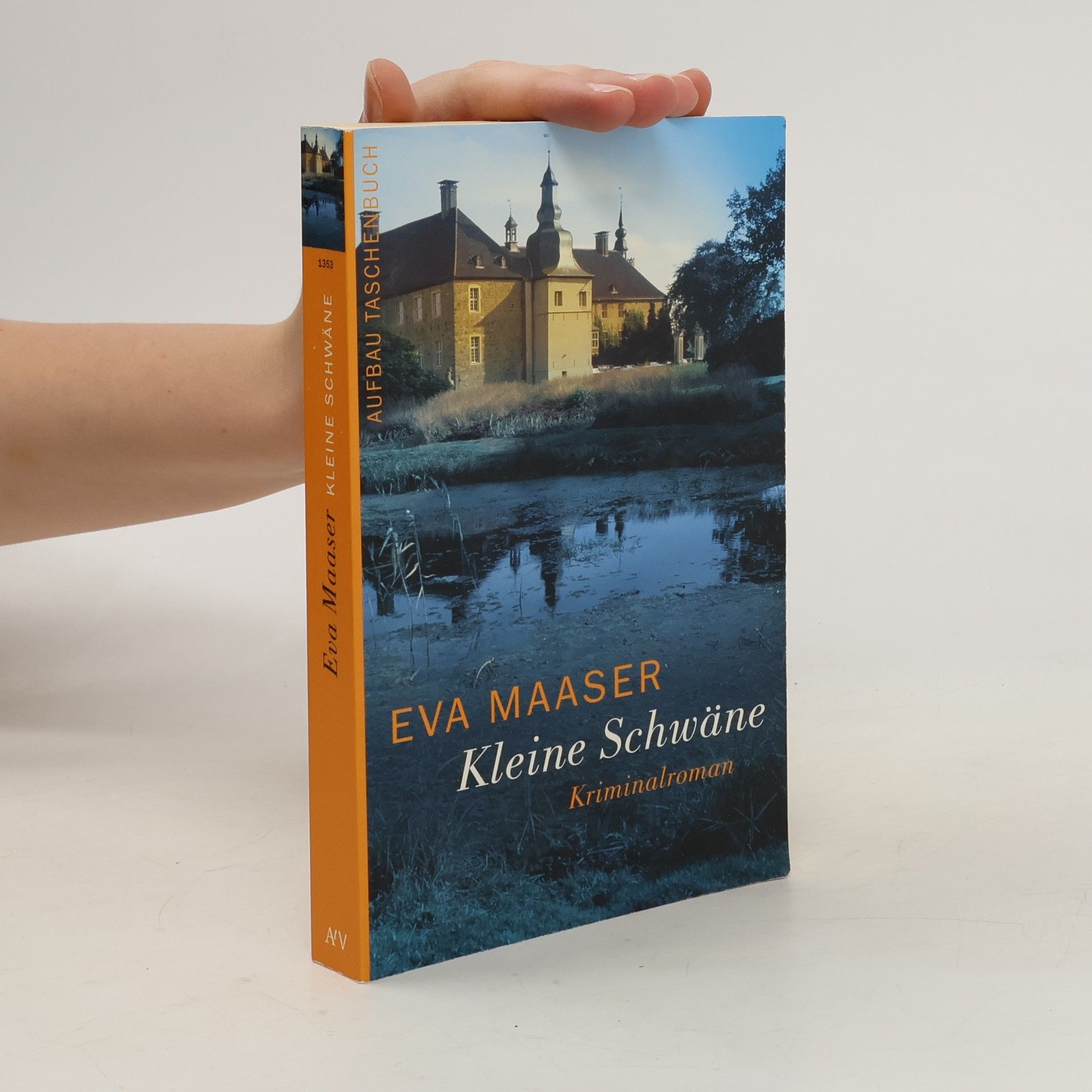 Eva Maaser Kleine Schwäne