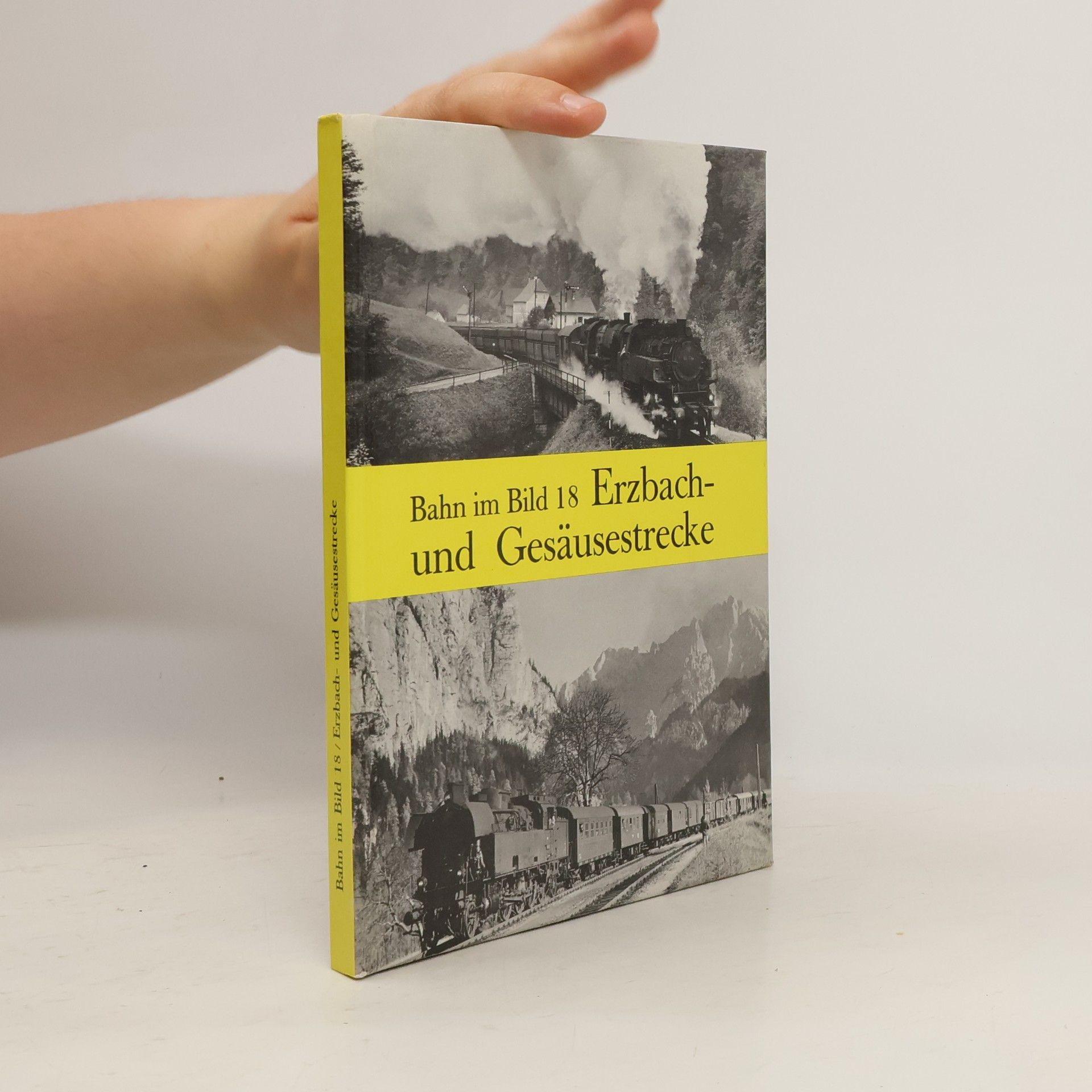 Collectif d'auteurs Bahn im Bild 18. Erzbach und Gesäusestrecke