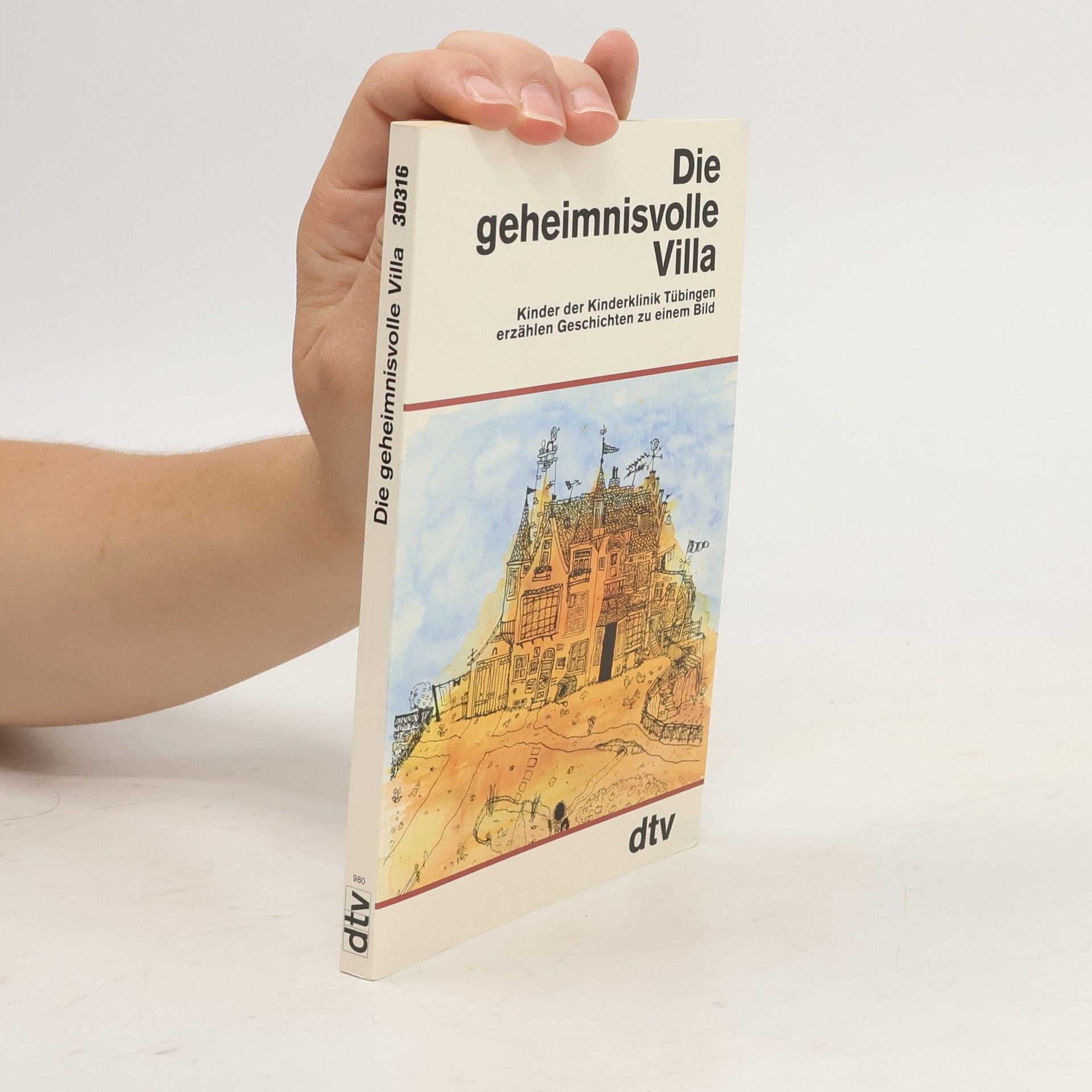 Auteurscollectief Die geheimnisvolle Villa