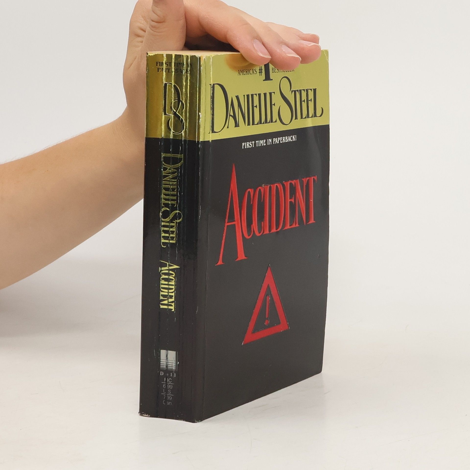 Danielle Steel Accident