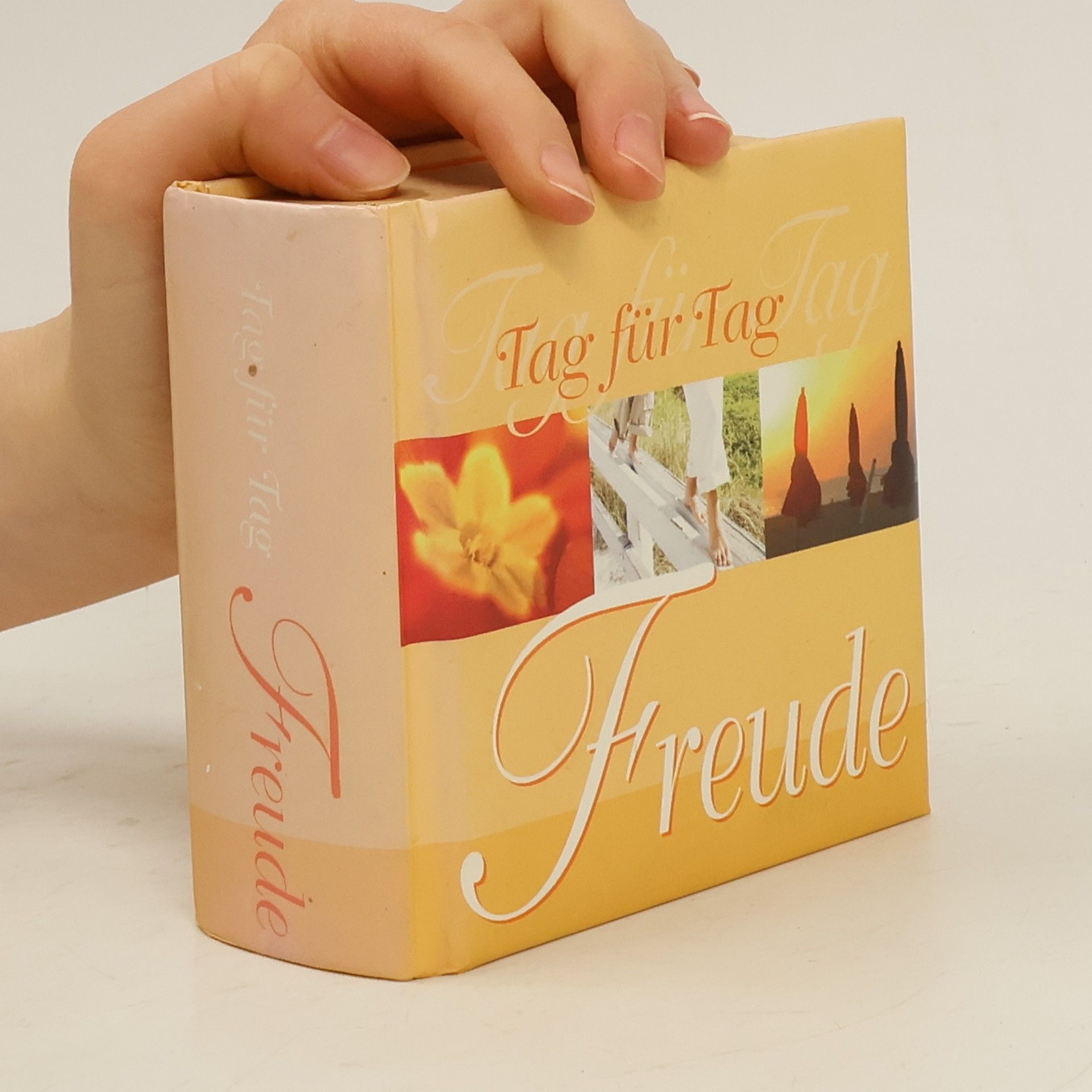 kolektiv Tag für Tag Freude