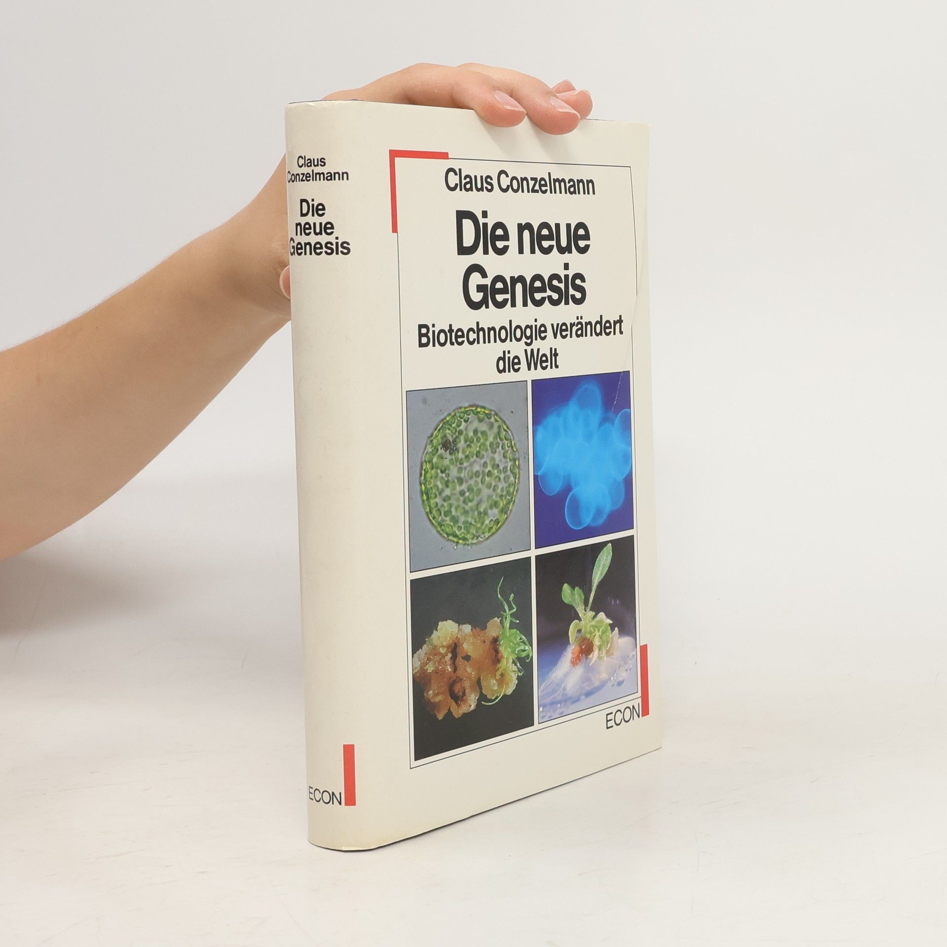 Claus Conzelmann Die neue Genesis