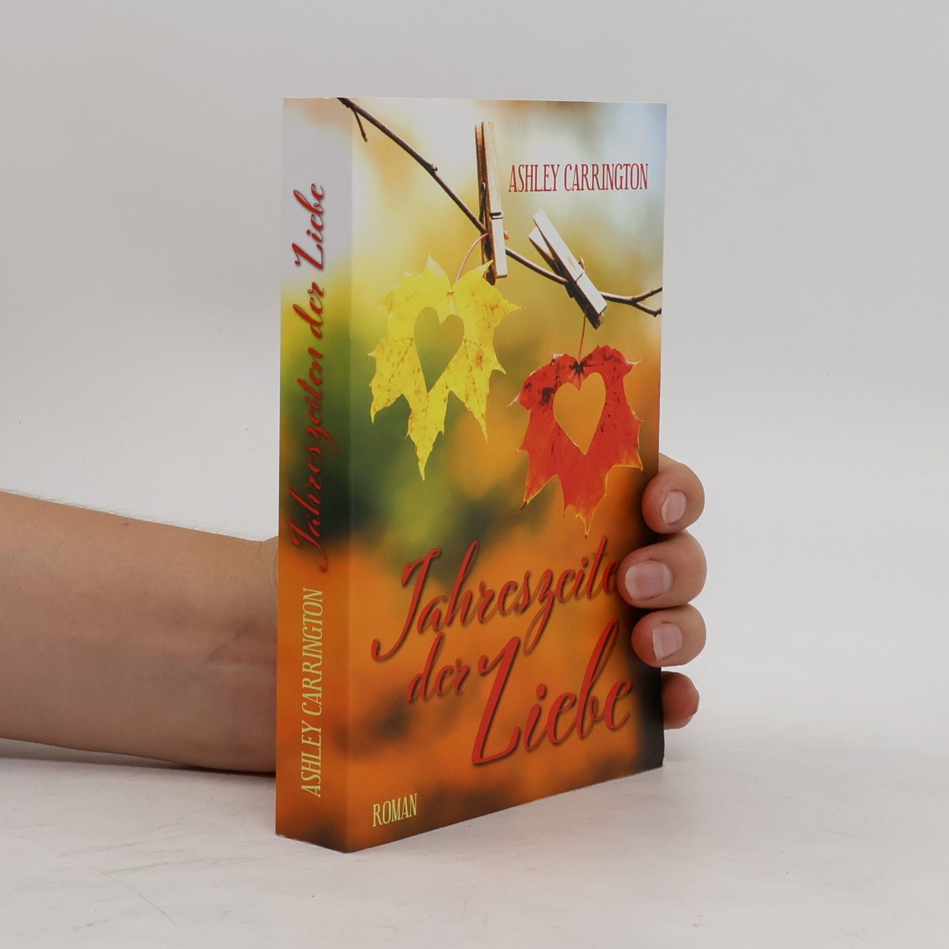 Rainer M. Schröder Jahreszeiten der Liebe : Roman