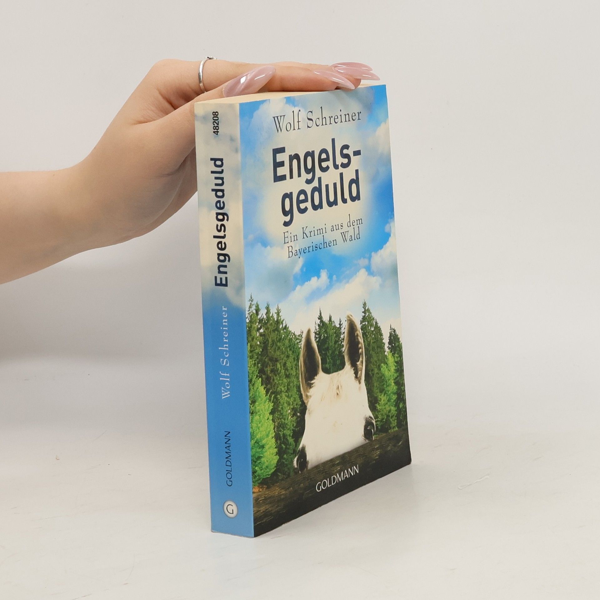 Wolf Schreiner Engelsgeduld