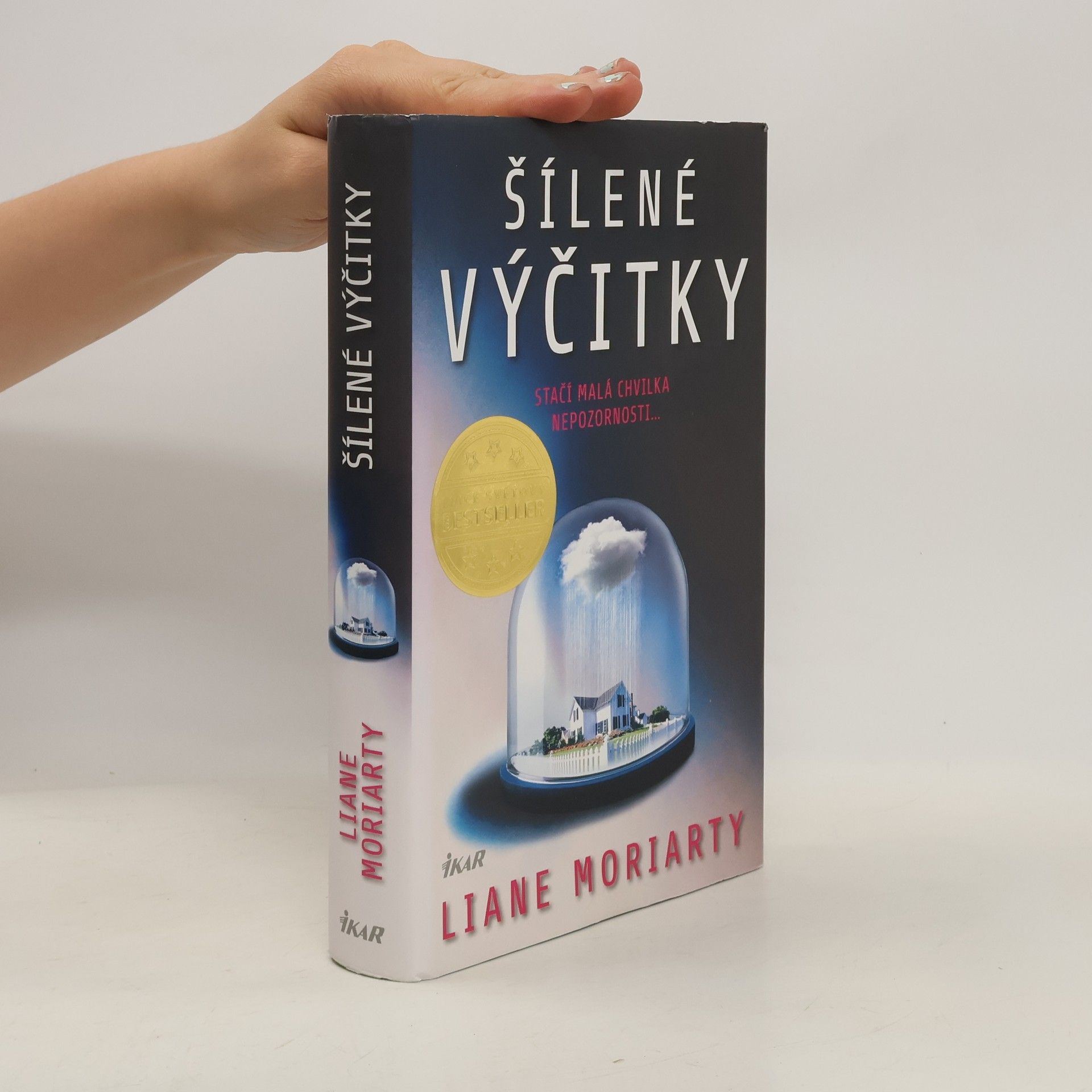 Liane Moriarty Šílené výčitky