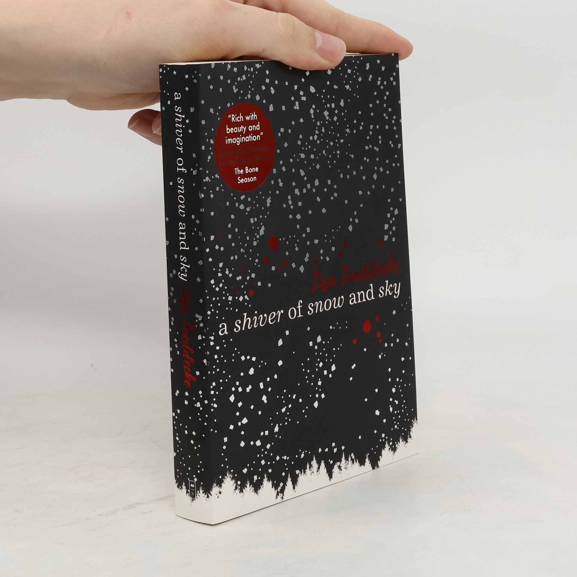 Lisa Lueddecke A Shiver of Snow and Sky
