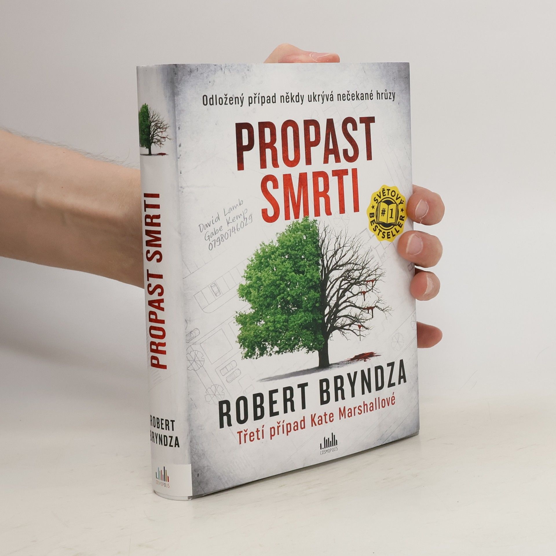 Robert Bryndza Propast smrti