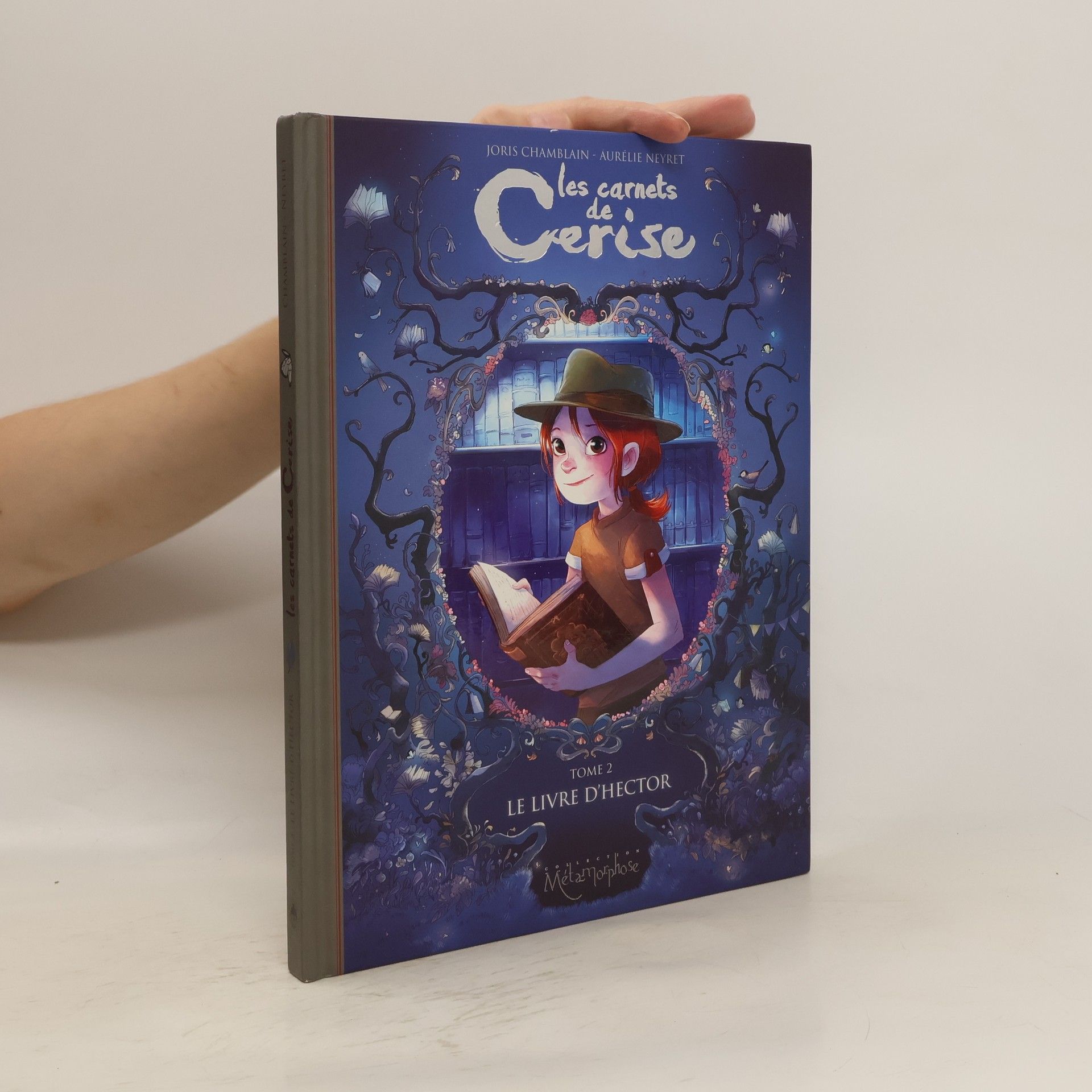 Joris Chamblain Les carnets de Cerise T02