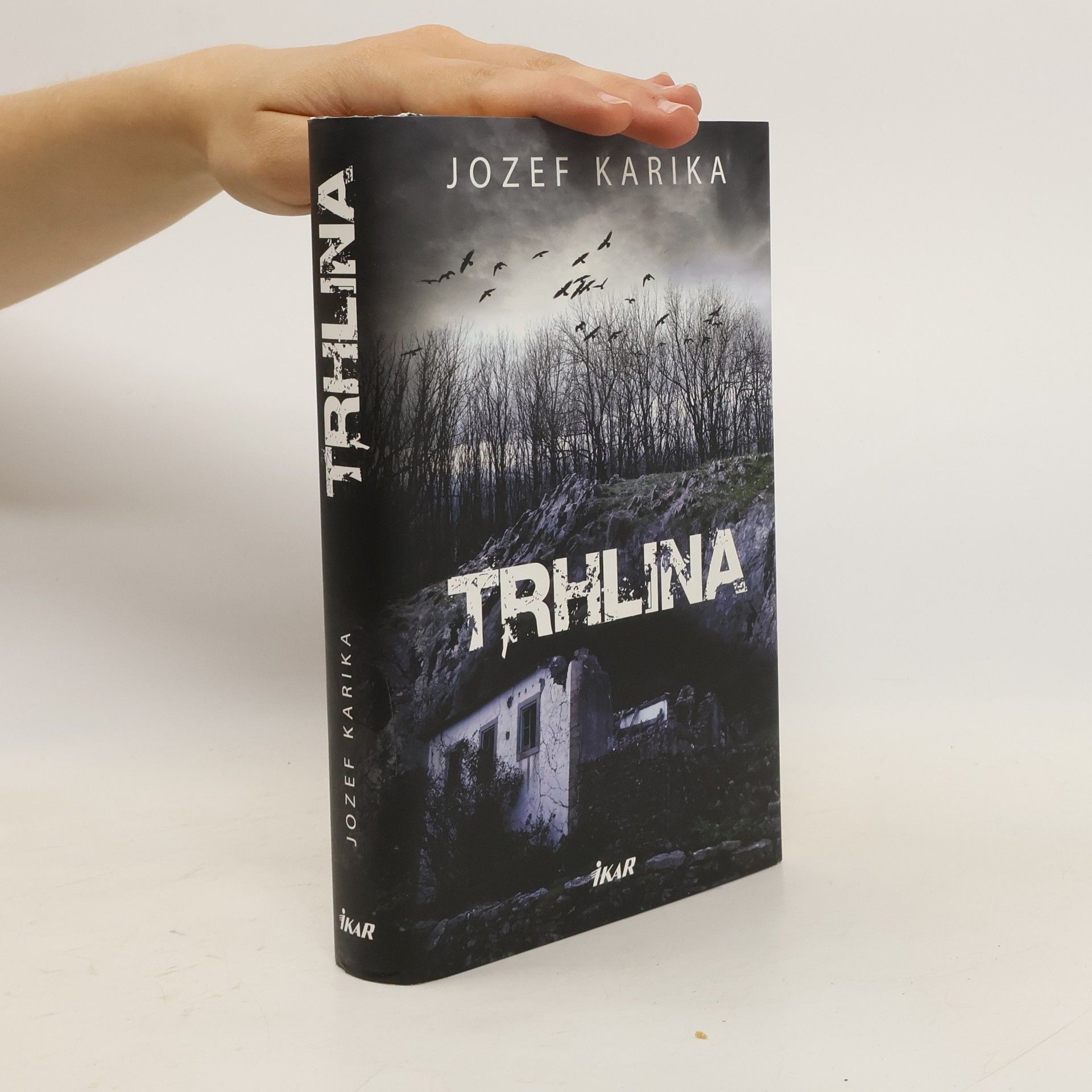 Jozef Karika Trhlina