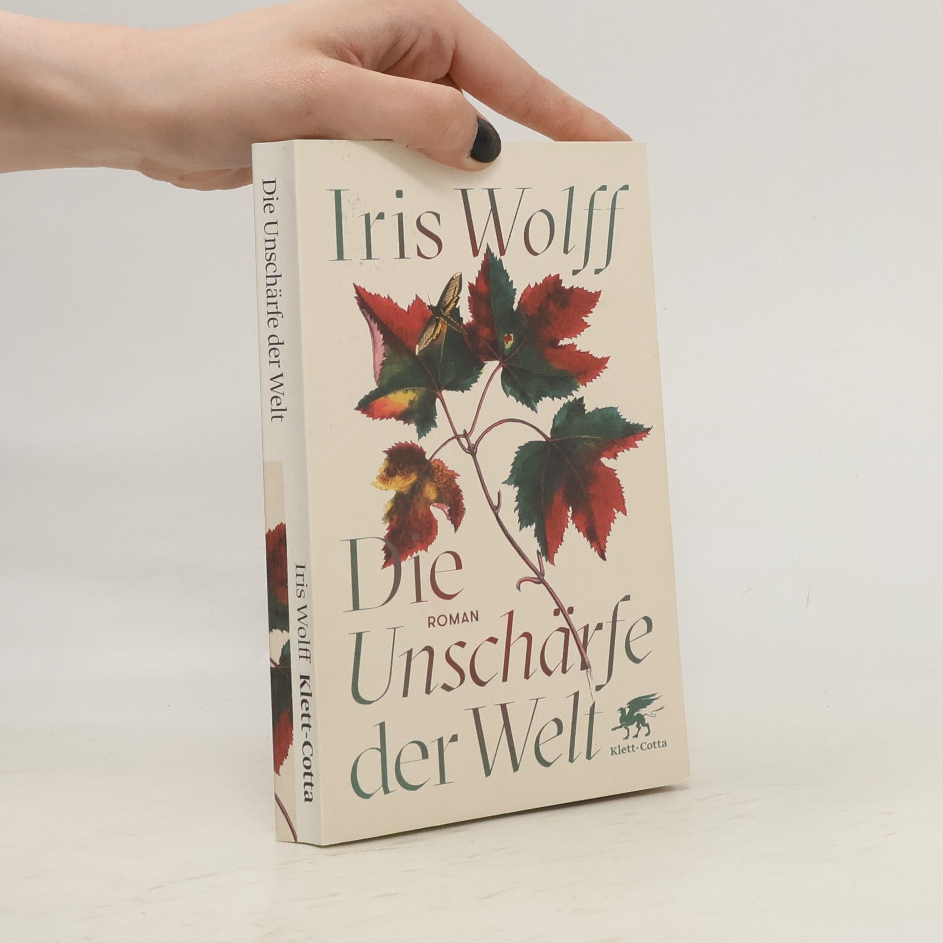 Iris Wolff Die Unschärfe der Welt