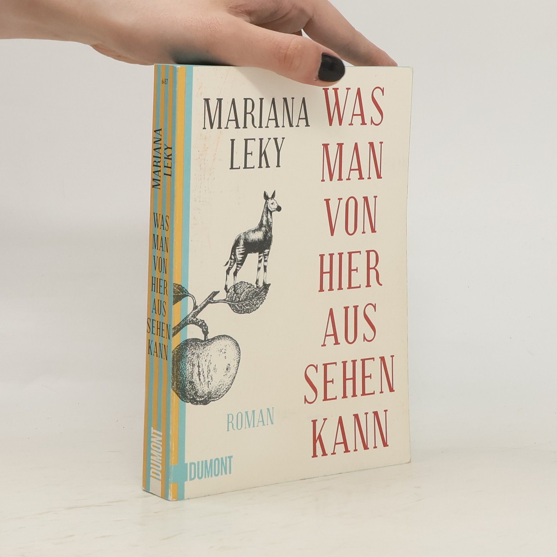 Mariana Leky Was man von hier aus sehen kann