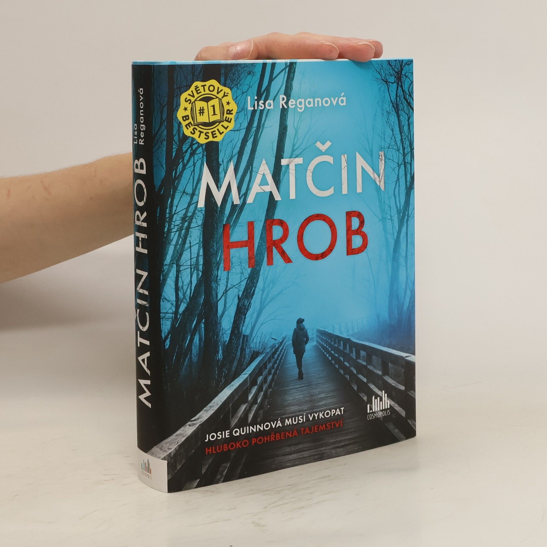 Lisa Regan Matčin hrob
