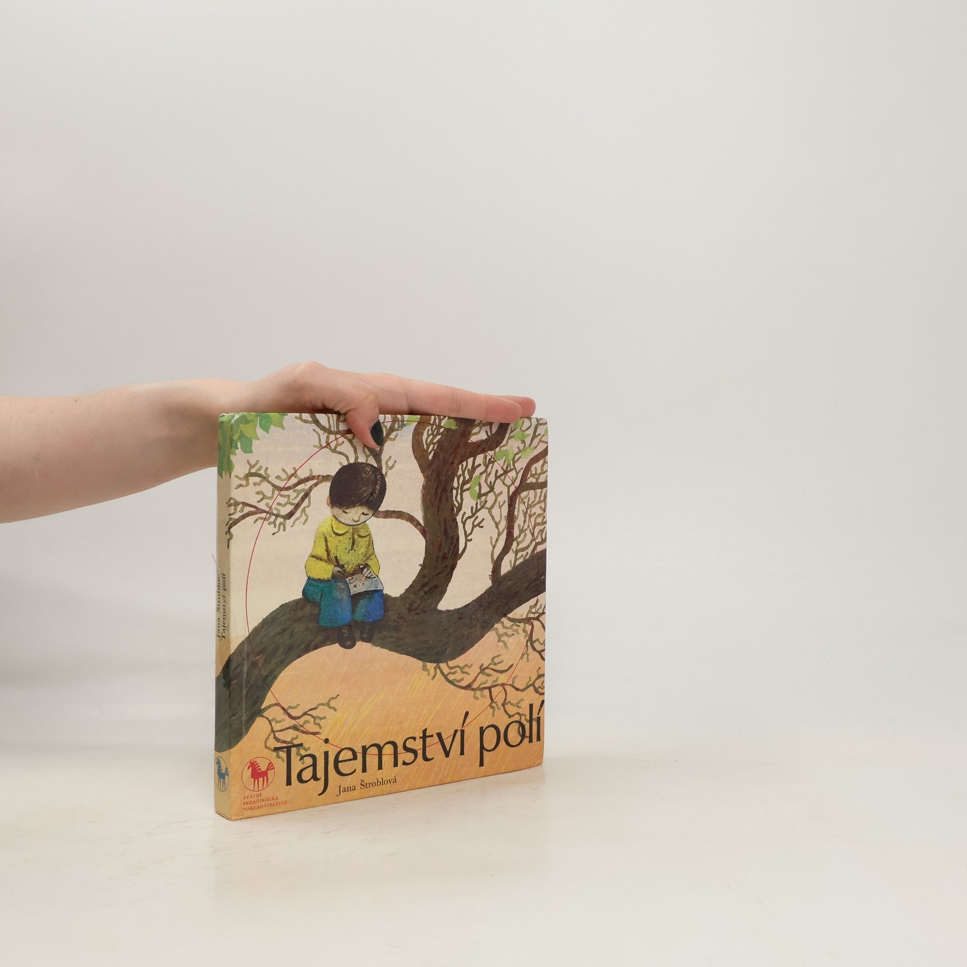 Jana Štroblová Tajemství polí