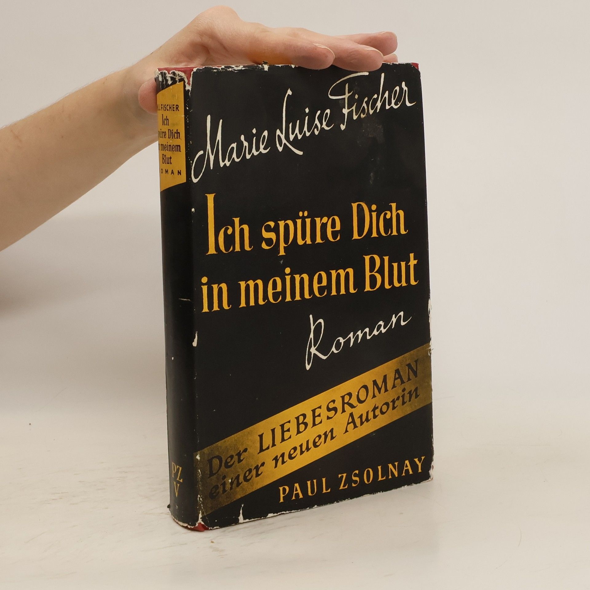 Marie Louise Fischer Ich spüre dich in meinem Blut