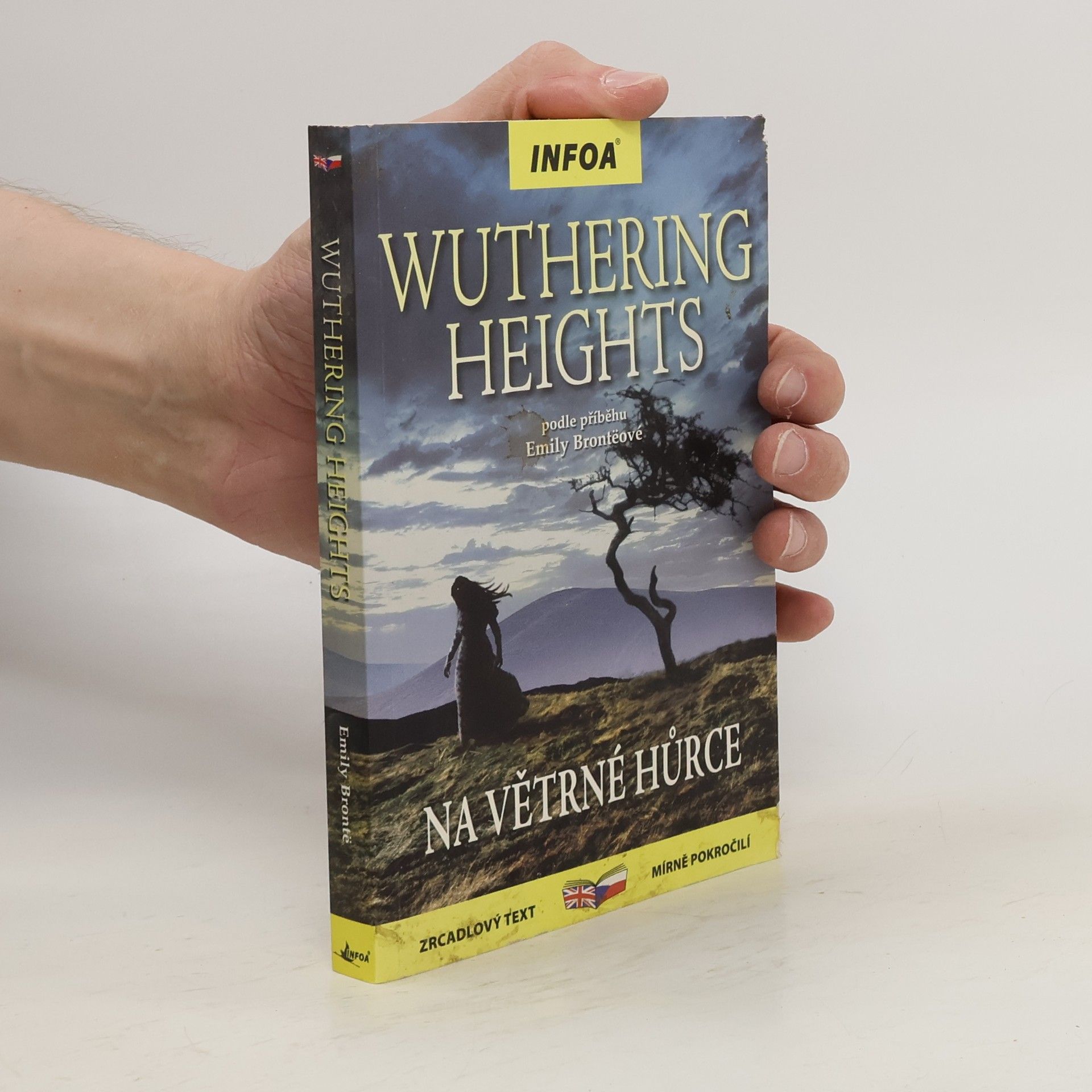 Jane Bingham Wuthering Heights