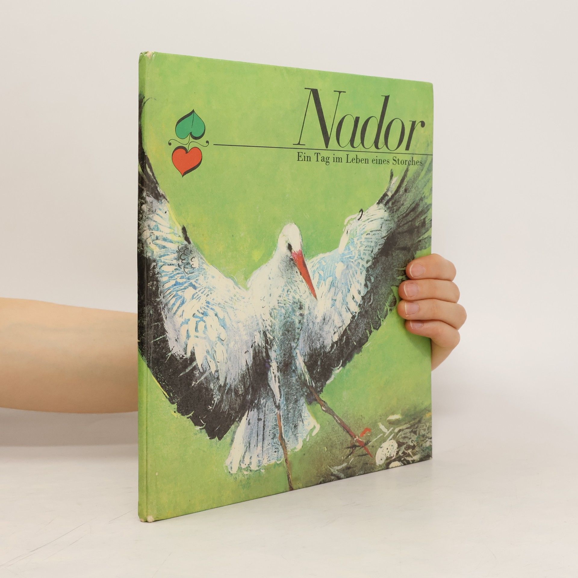 kolektiv Nador