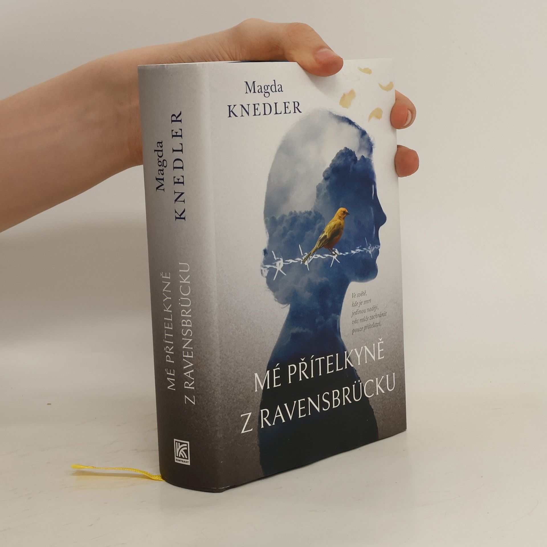 Magdalena Knedler Mé přítelkyně z Ravensbrücku