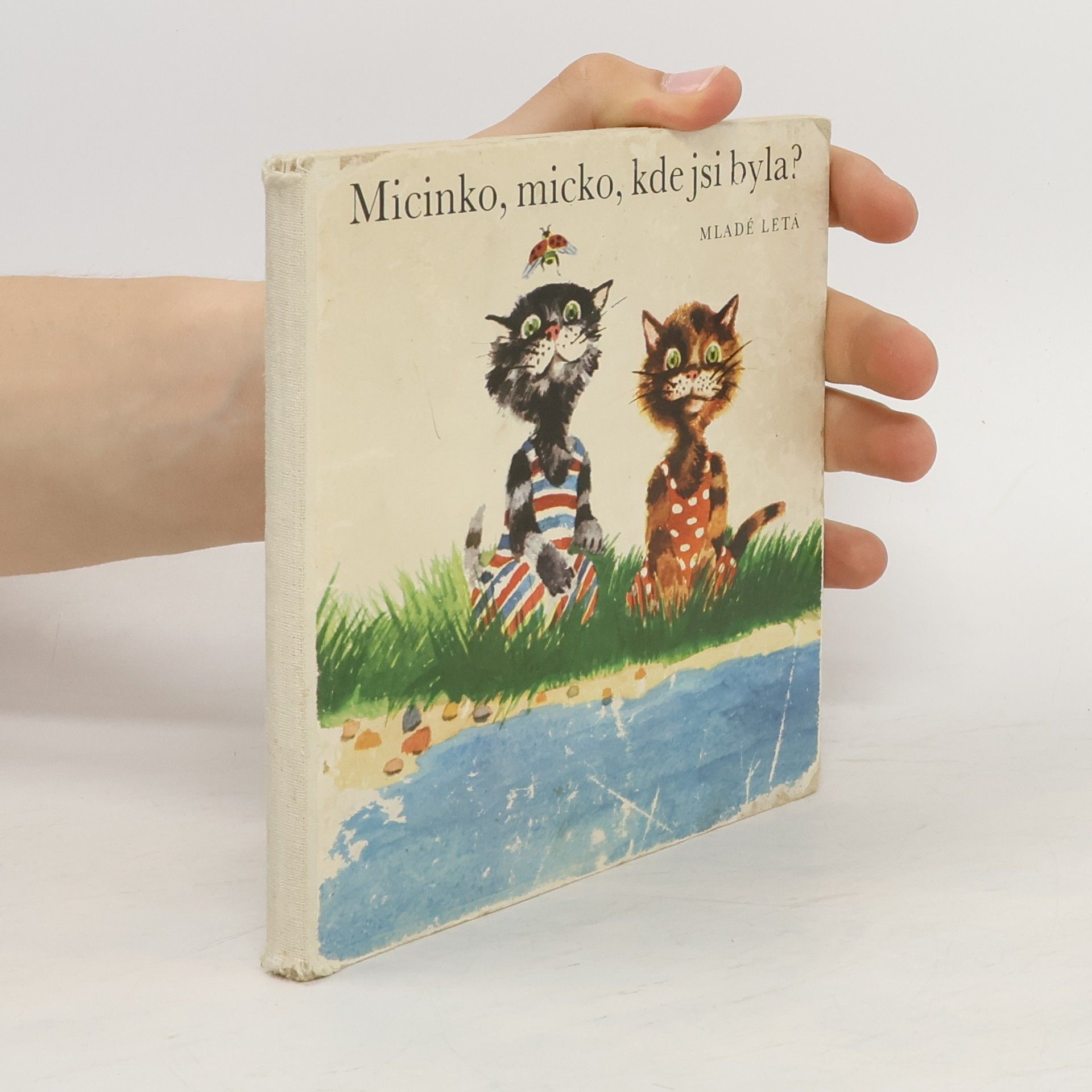 AA.VV. Micinko, micko, kde jsi byla?