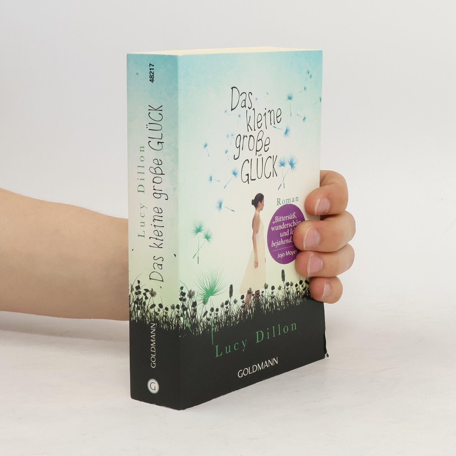 Lucy Dillon Das kleine große Glück
