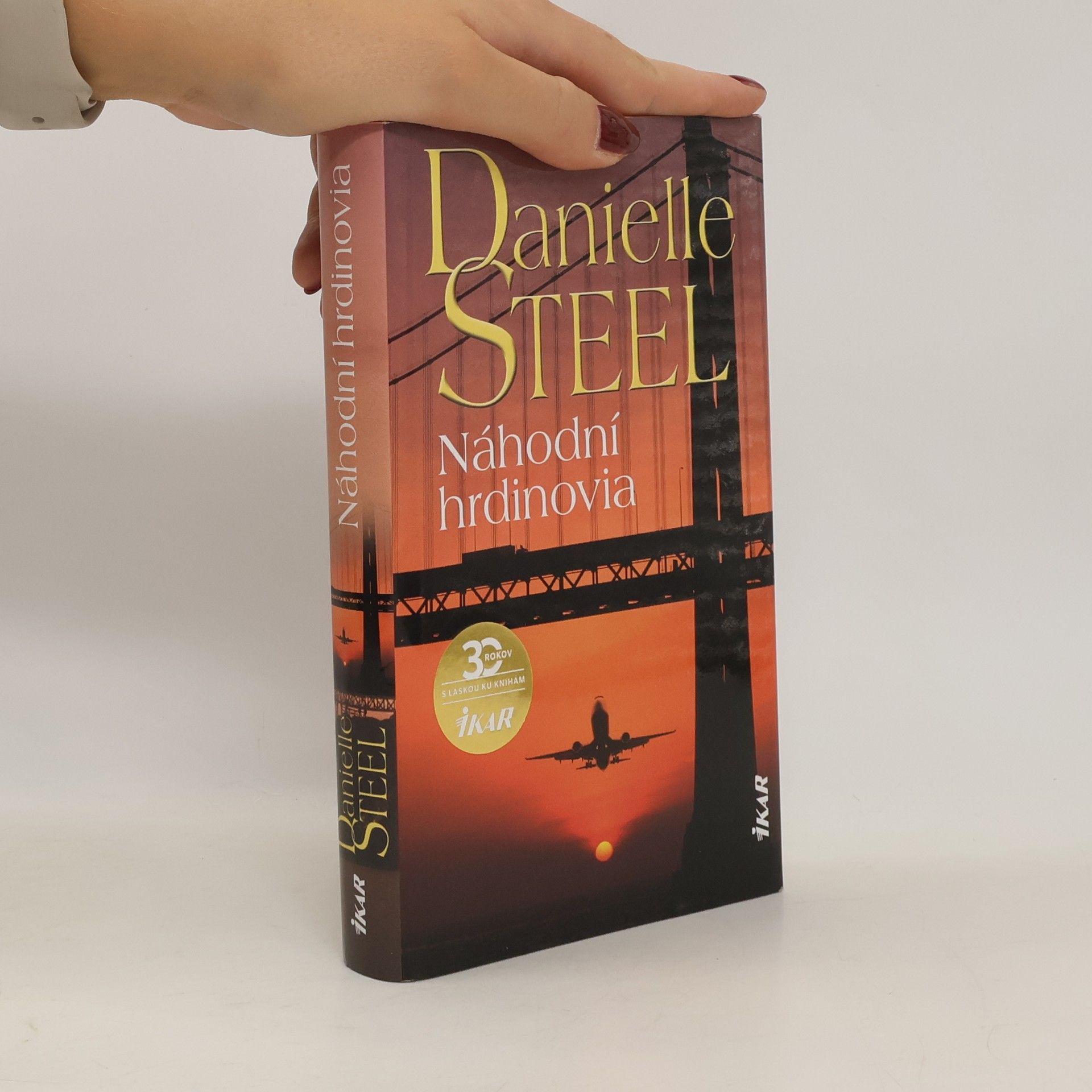 Danielle Steel Náhodní hrdinovia