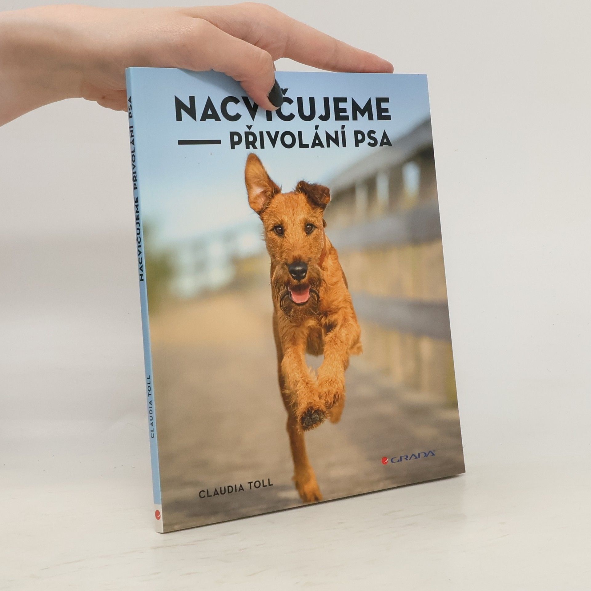 Claudia Toll Nacvičujeme přivolání psa