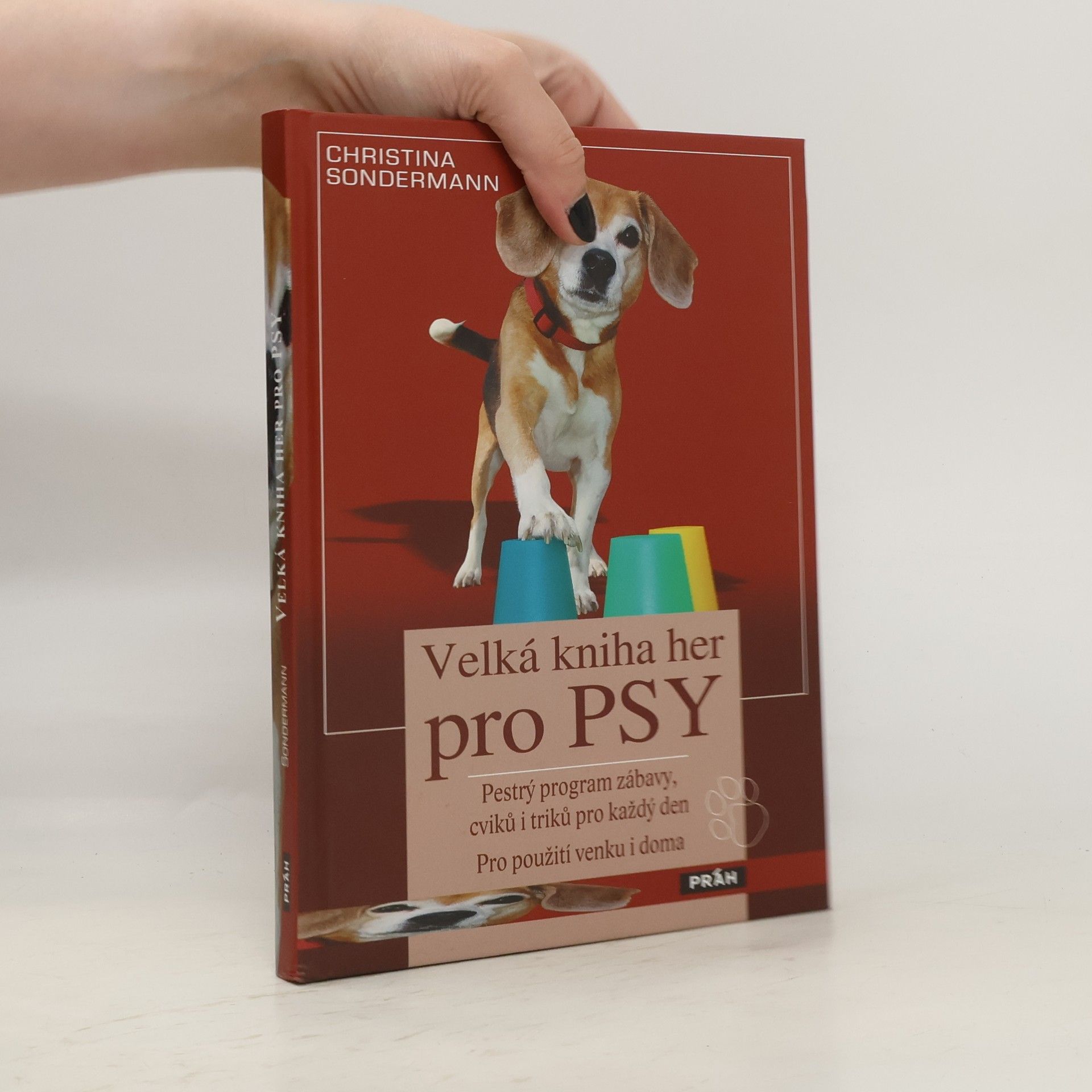 Christina Sondermann Velká kniha her pro psy: Pestrý program zábavy, cviků i triků pro každý den