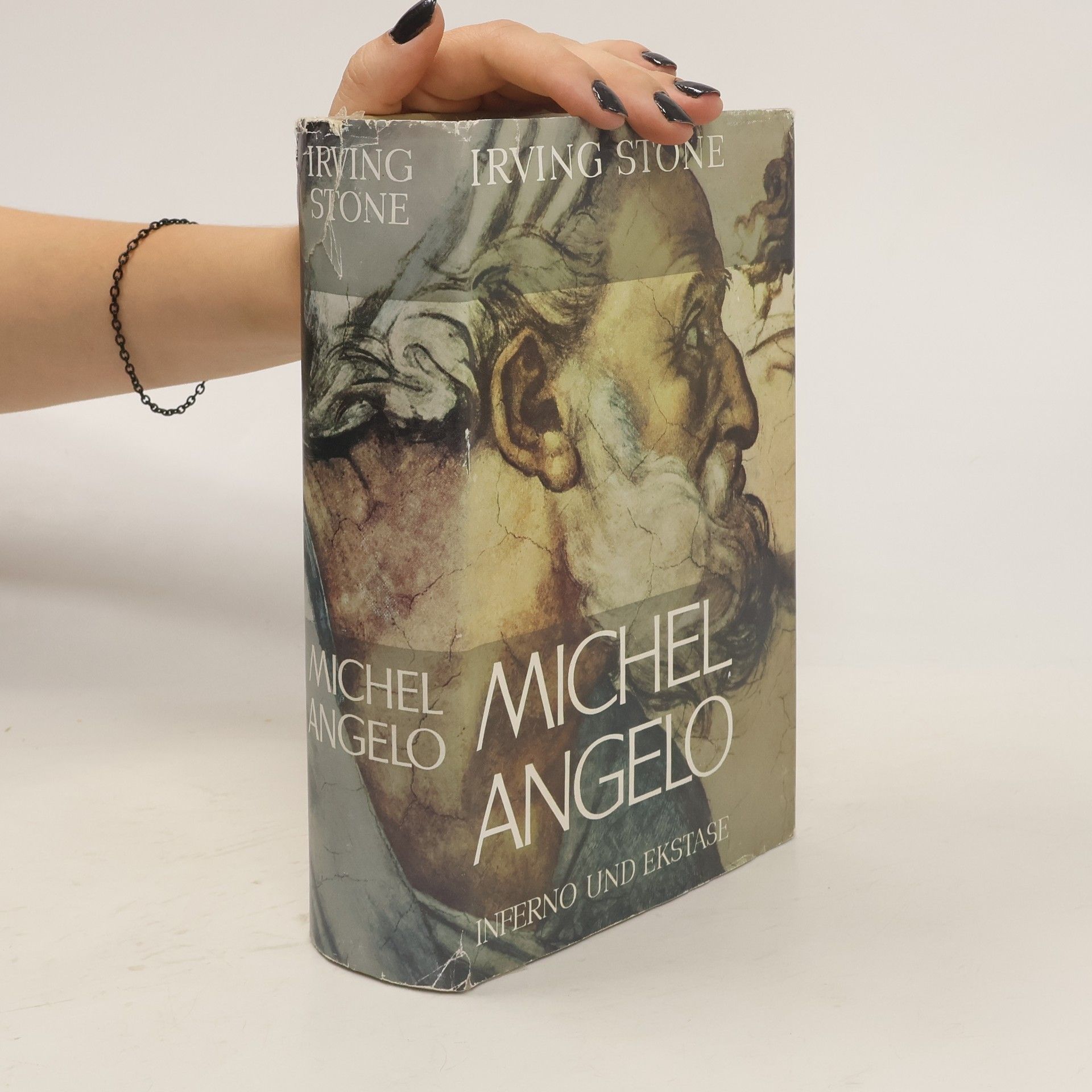 Irving Stone Michelangelo