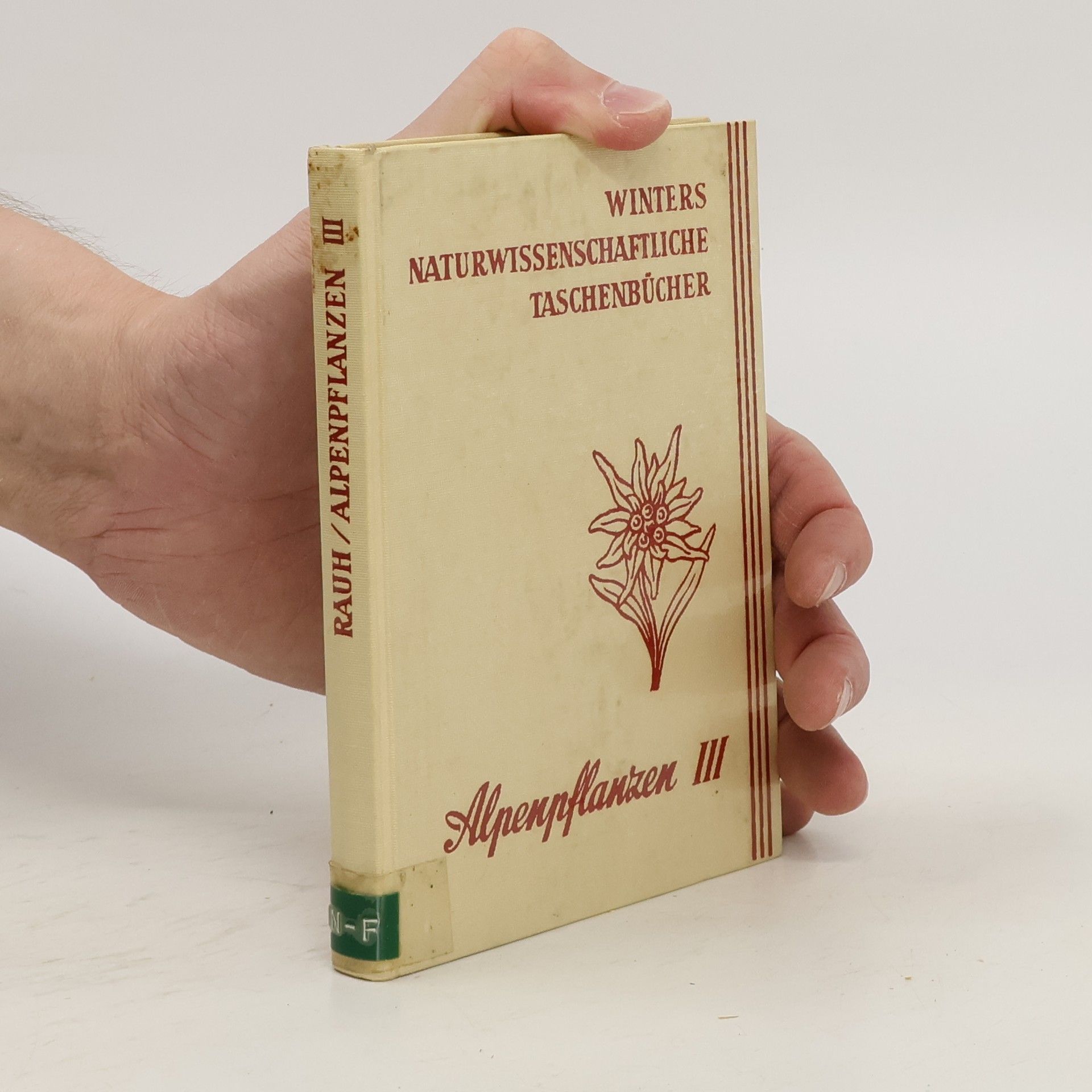 Werner Rauh Alpenpflanzen 3