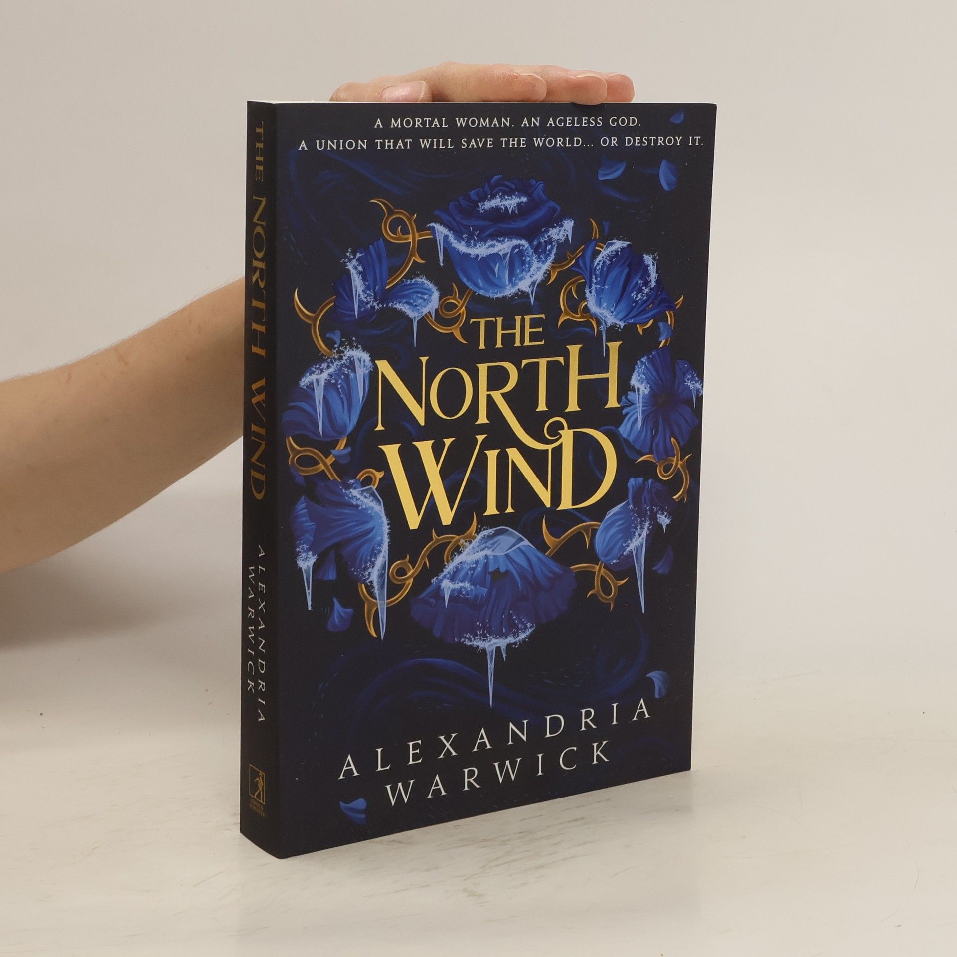 Alexandria Warwick The North Wind: The TikTok sensation! An enthralling enemies-to-lovers romantasy, the first in the Four Winds series