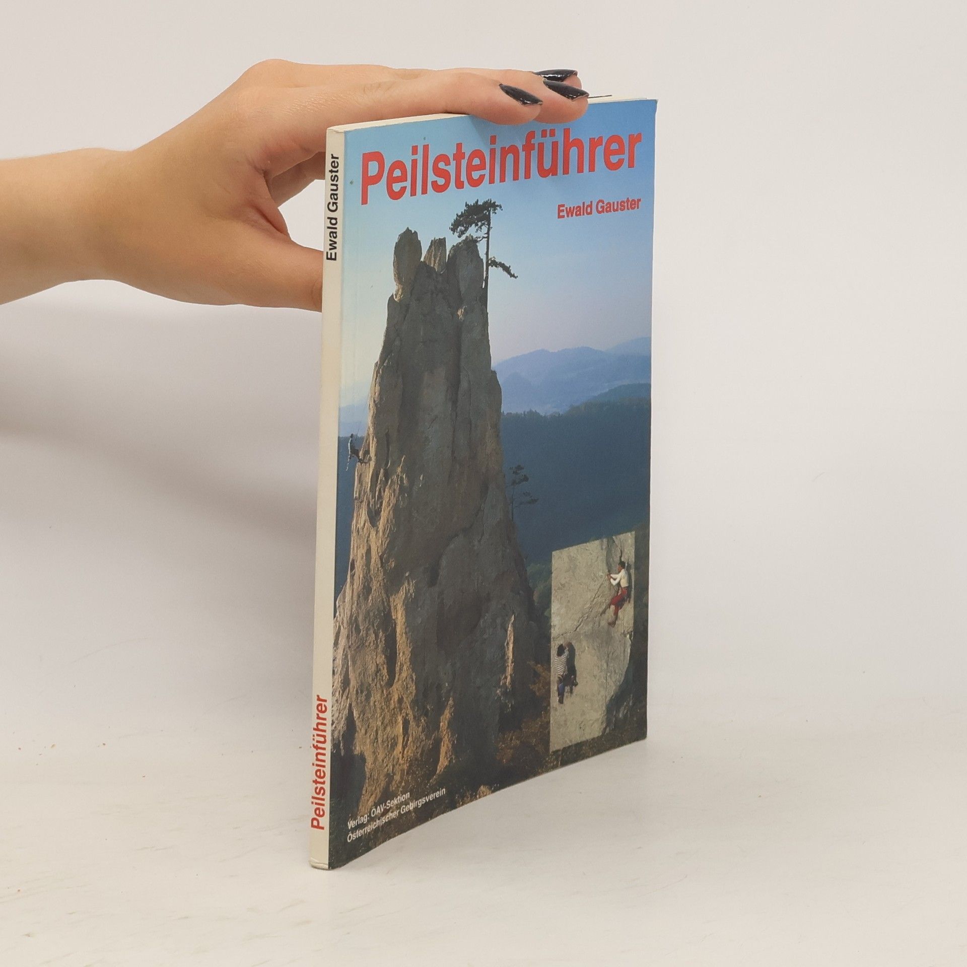 Ewald Gauster Peilsteinführer