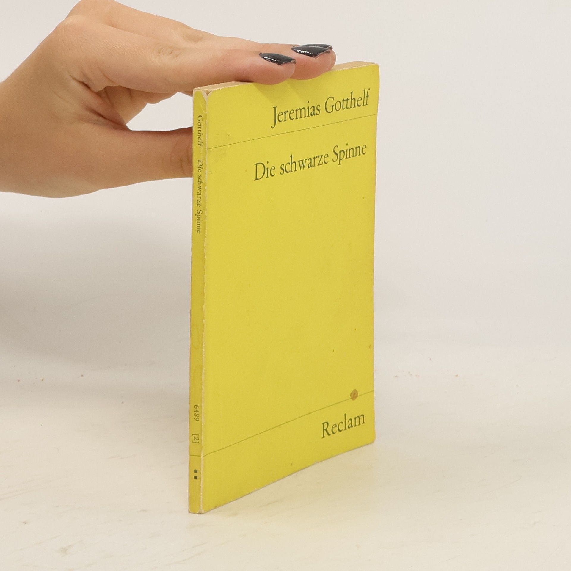 Jeremias Gotthelf Die schwarze Spinne