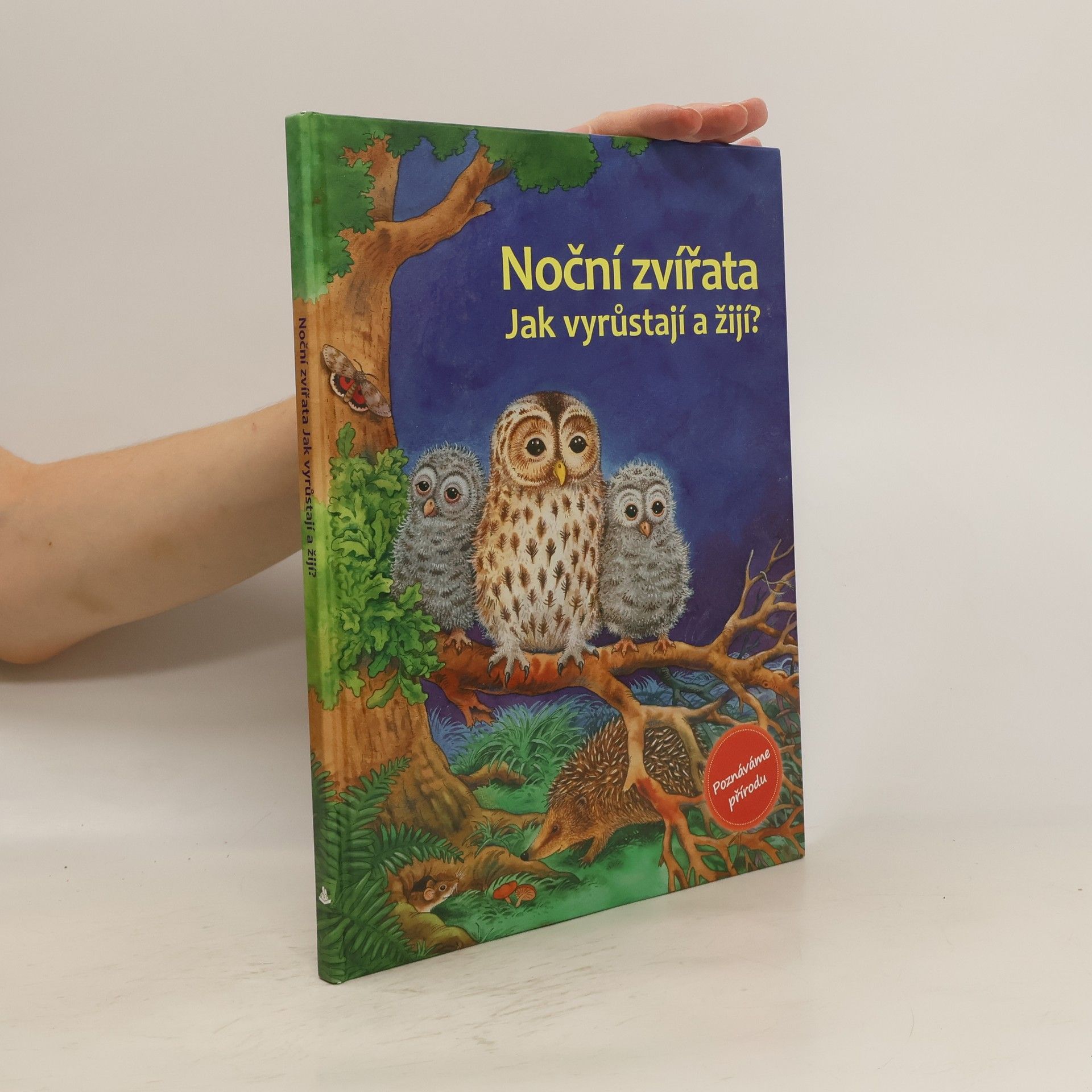 Friederun Reichenstetter Noční zvířata : jak vyrůstají a žijí?