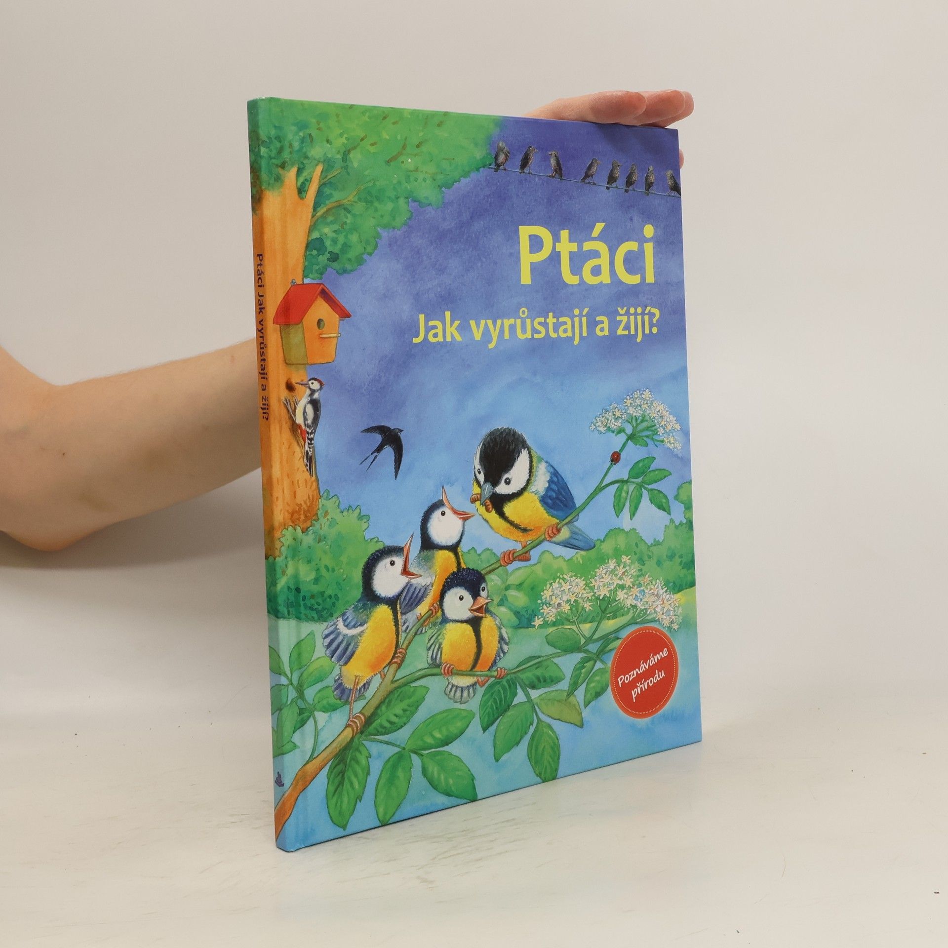 Friederun Reichenstetter Ptáci : Jak vyrůstají a žijí?