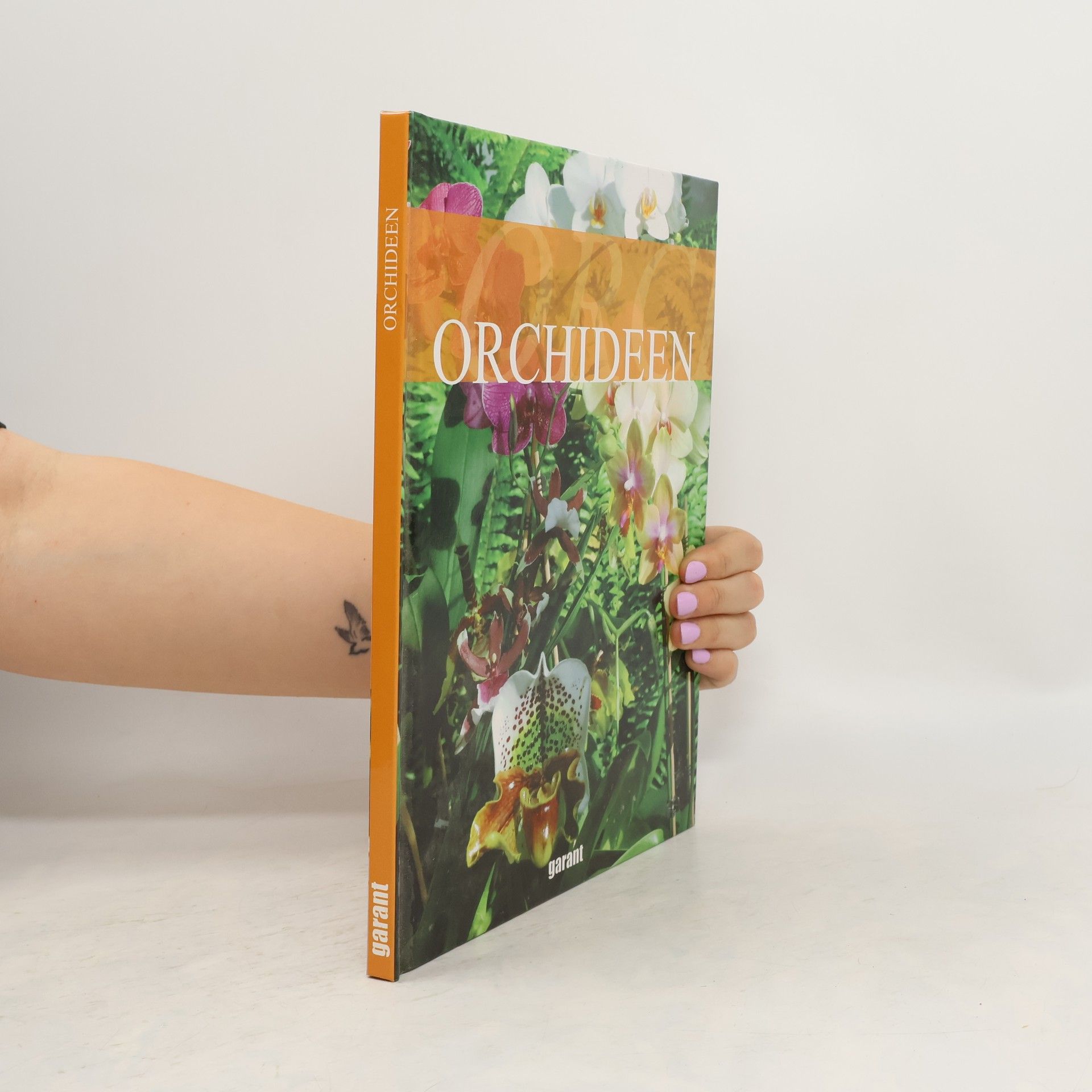 kolektiv Orchideen