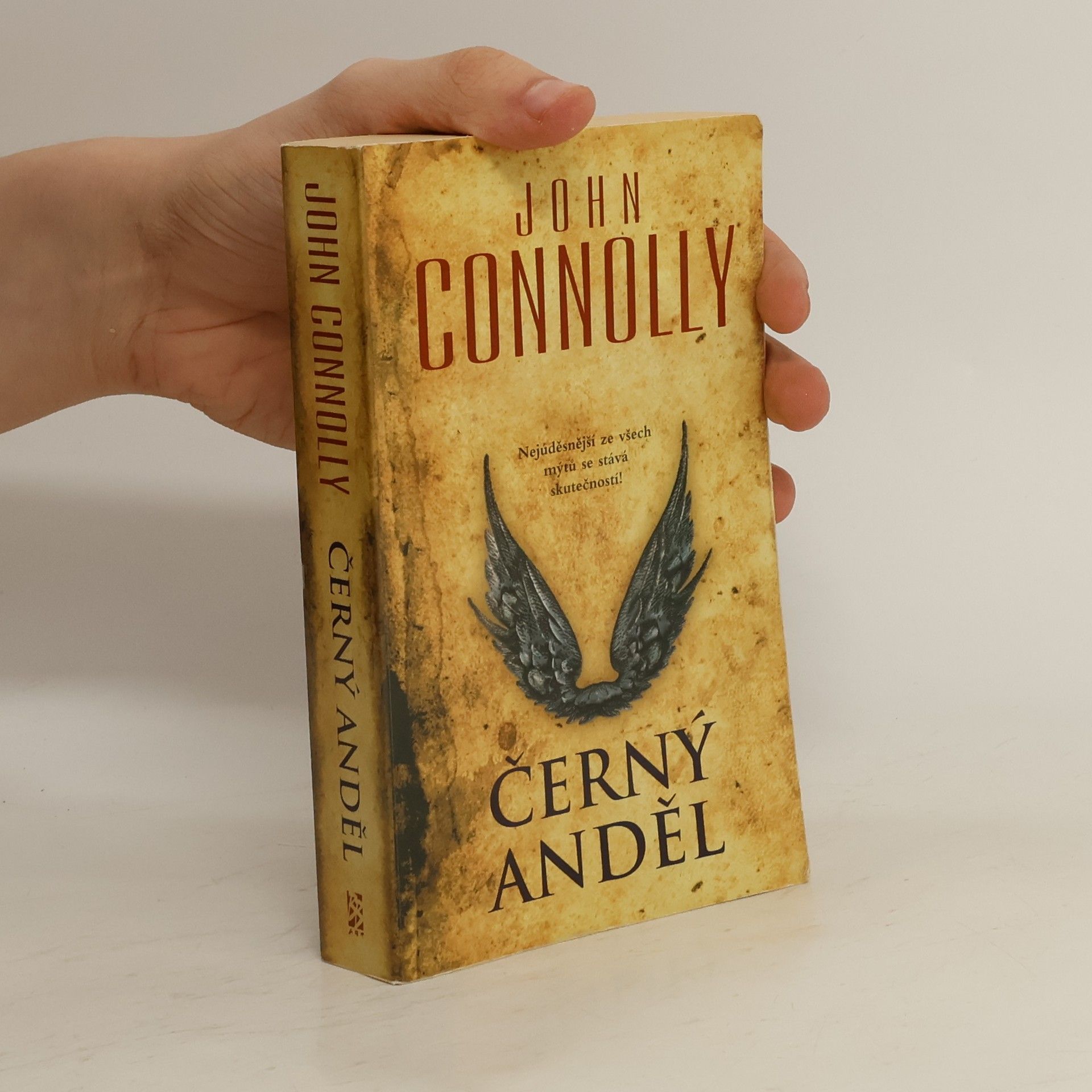 John Connolly Černý anděl