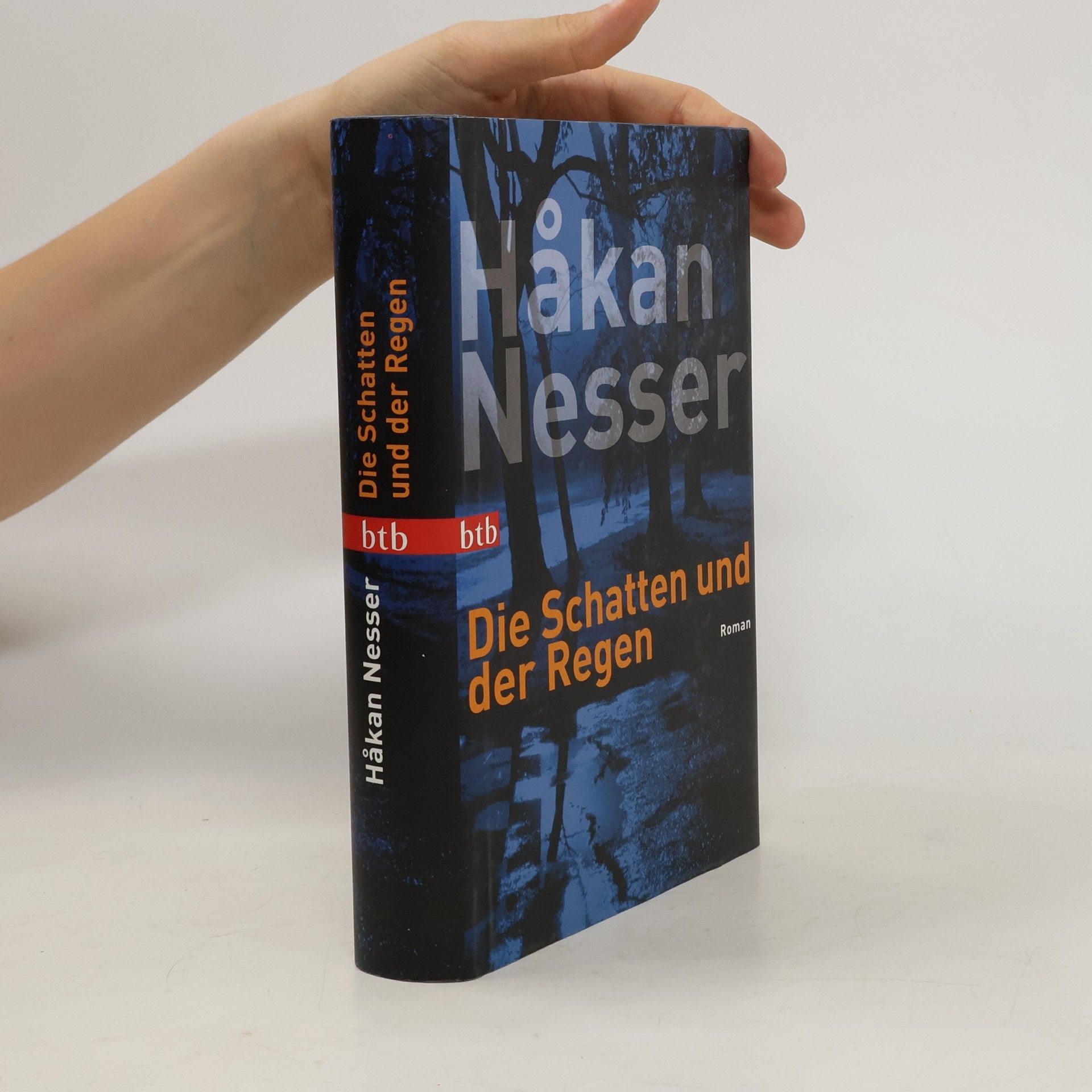 Håkan Nesser Die Schatten und der Regen