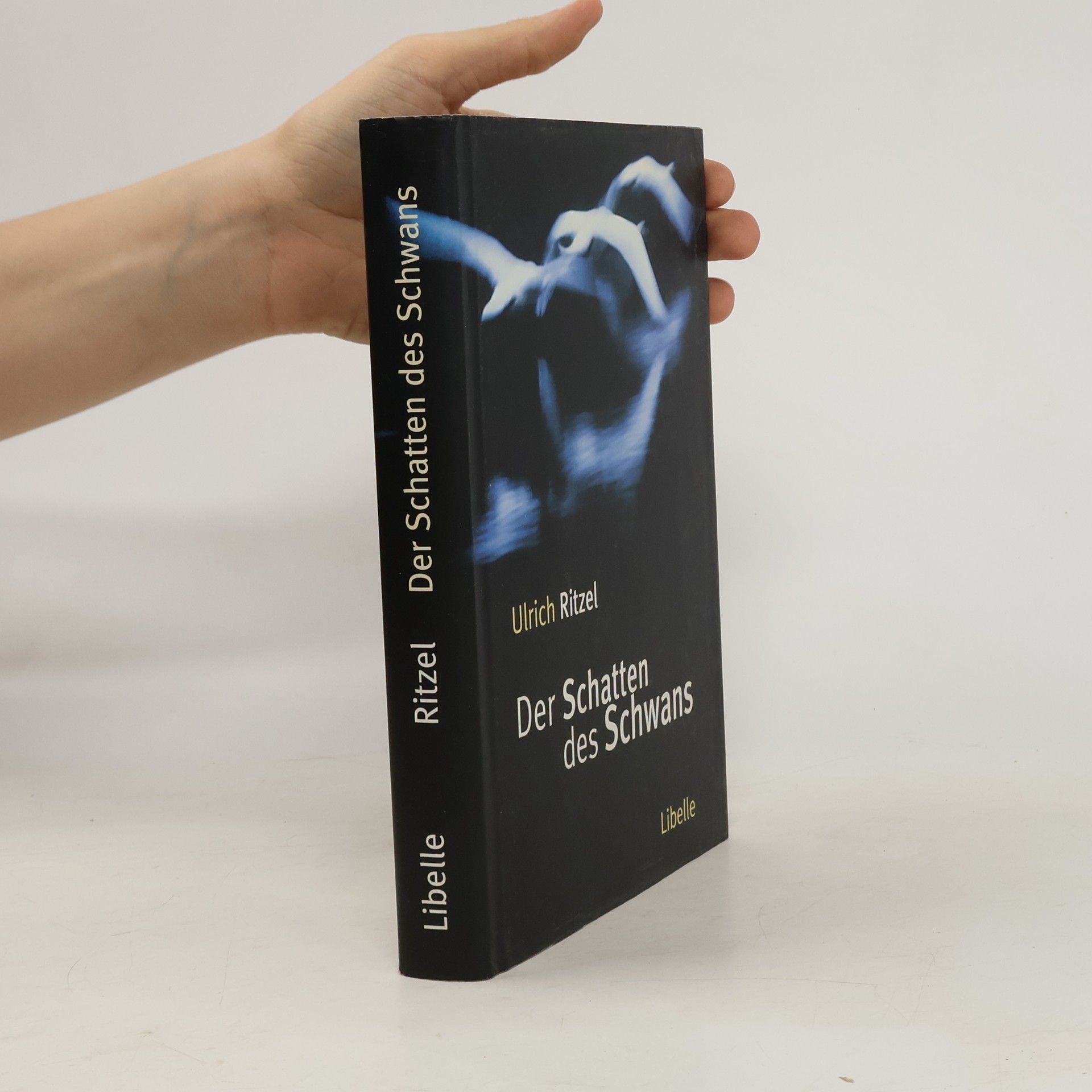 Ulrich Ritzel Der Schatten des Schwans