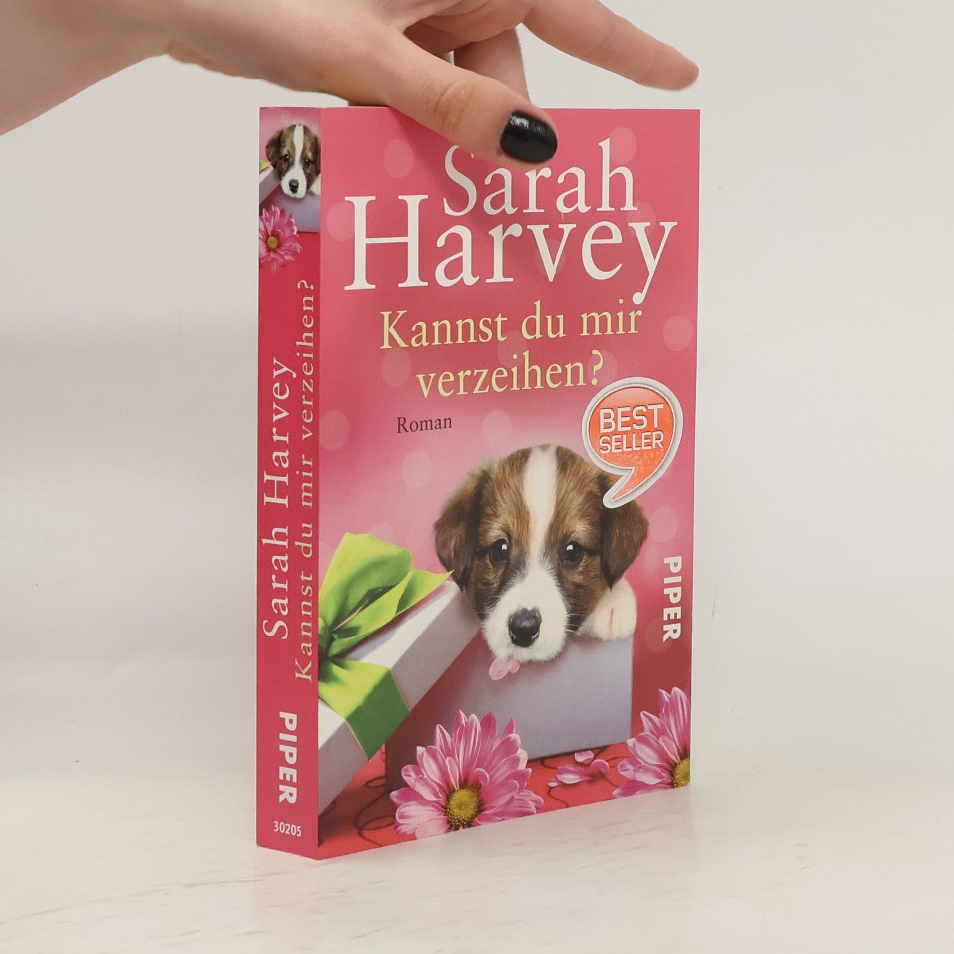 Sarah Harvey Kannst du mir verzeihen?