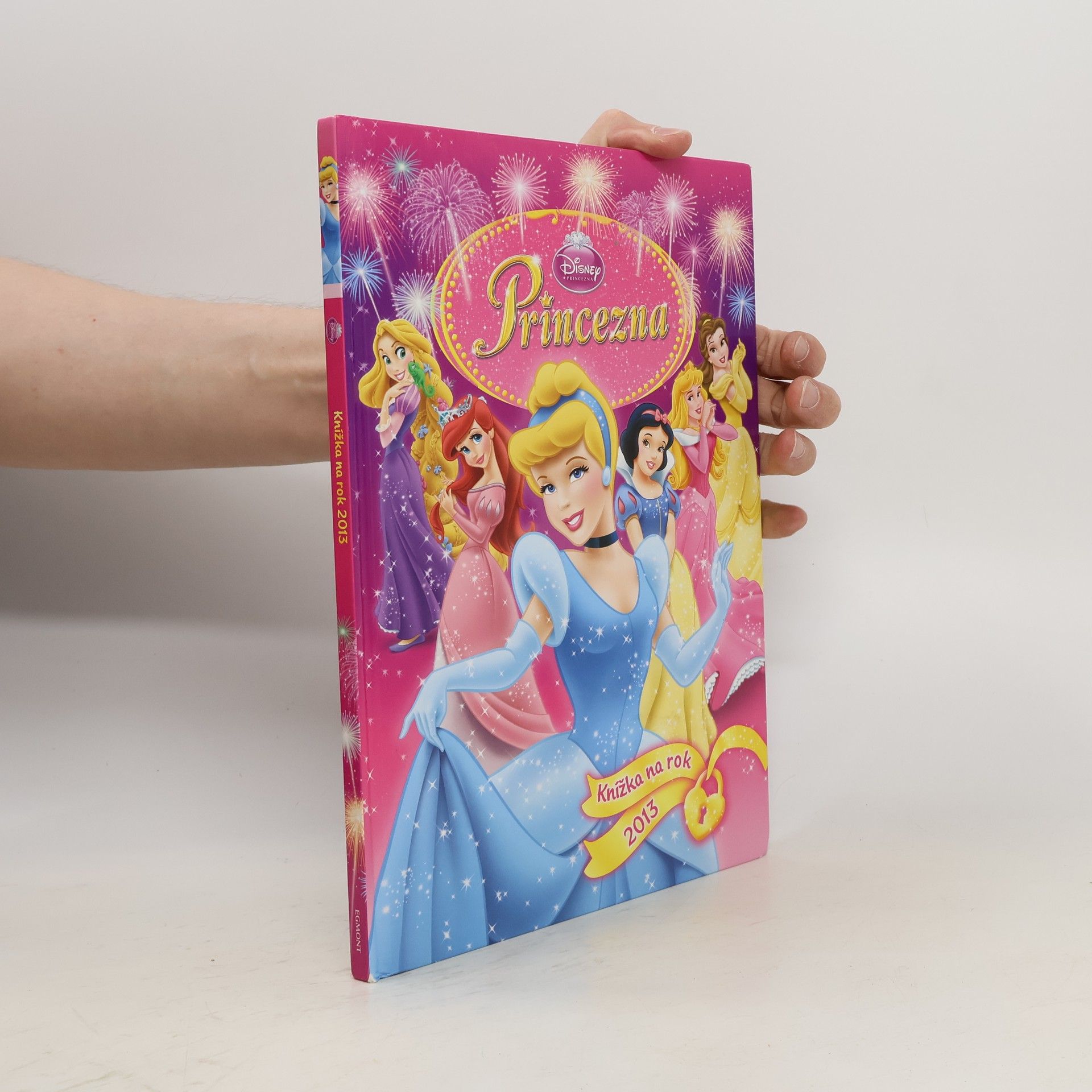 Walt Disney Princezny Knížka na rok 2013