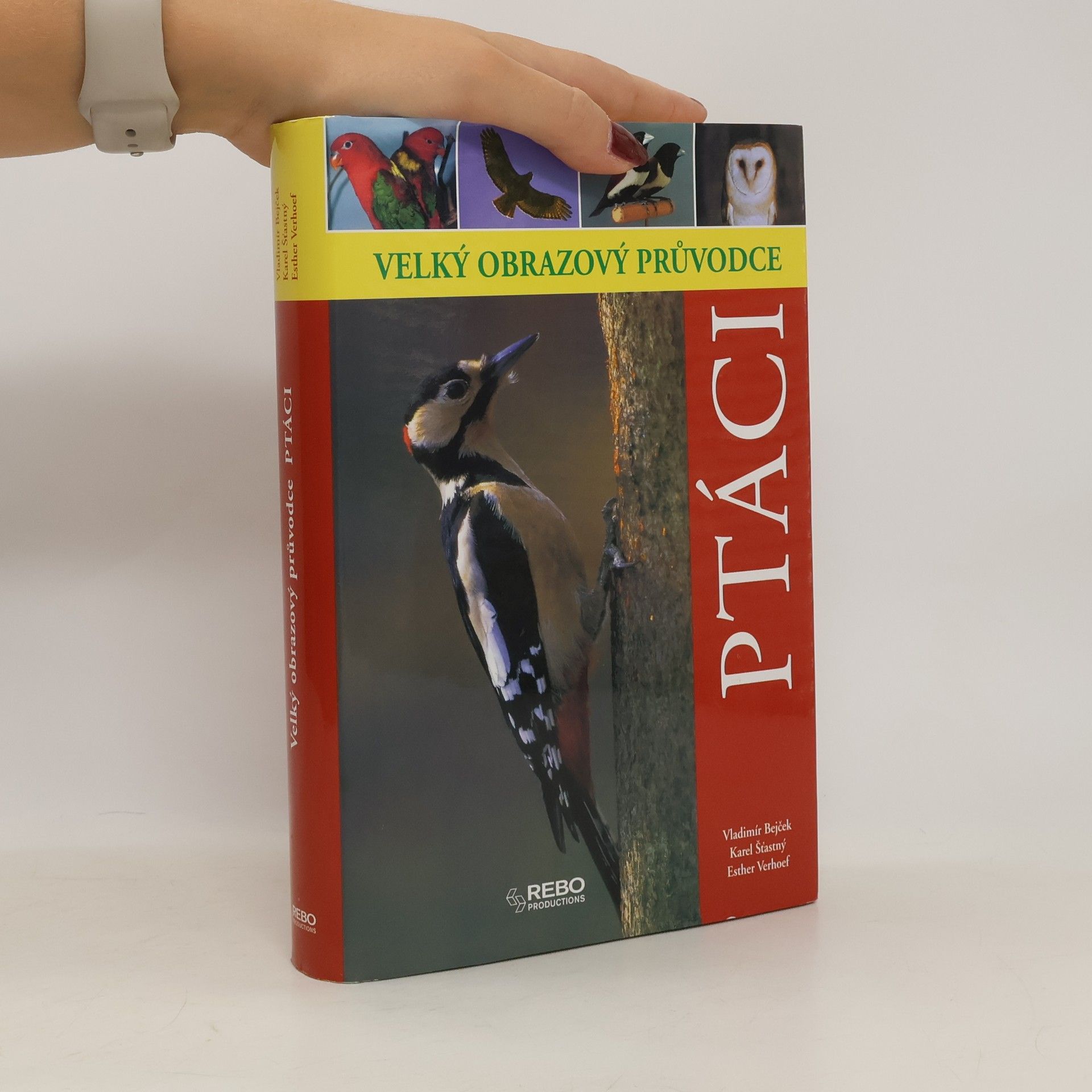 Esther Verhoef Ptáci - Velký obrazový průvodce