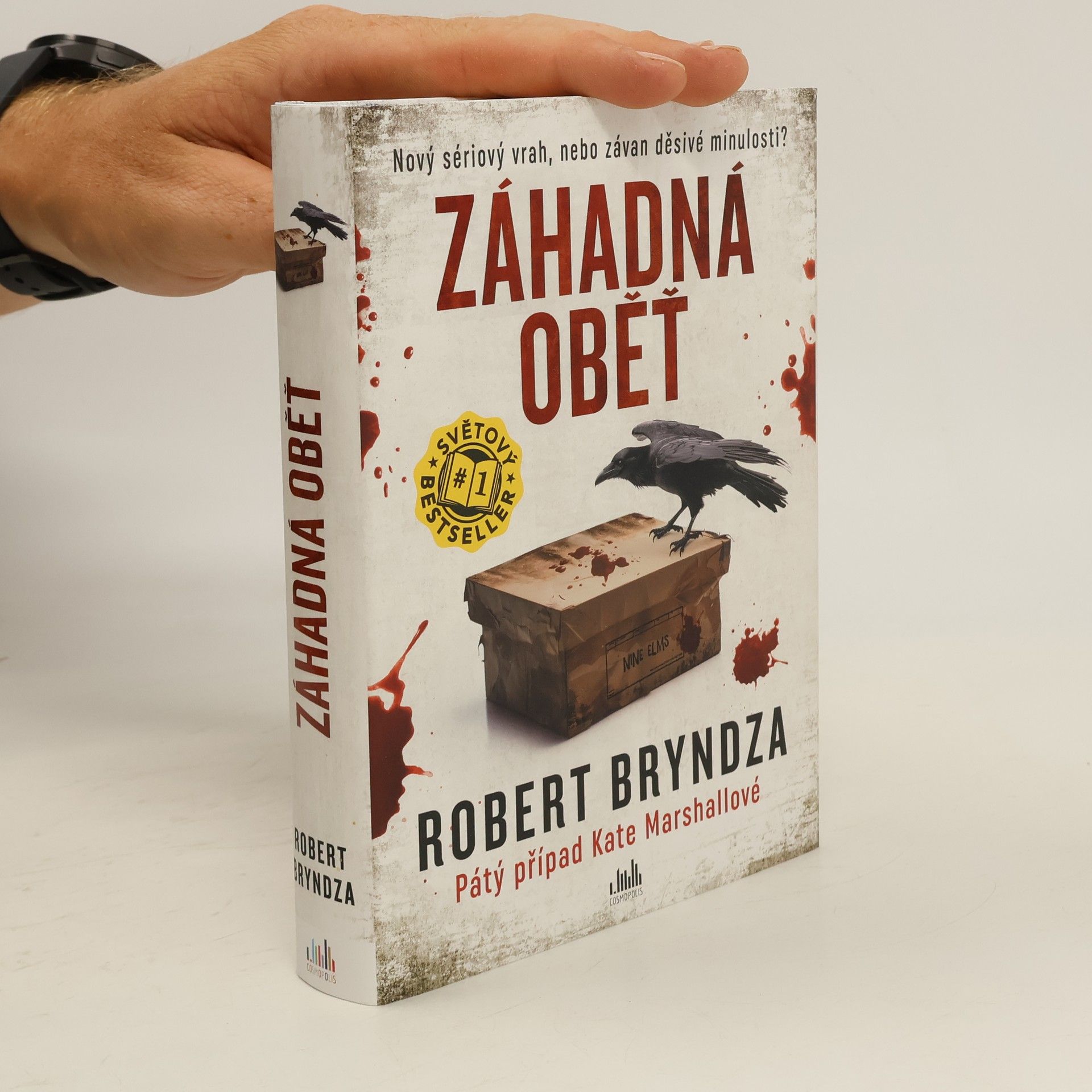 Robert Bryndza Záhadná oběť